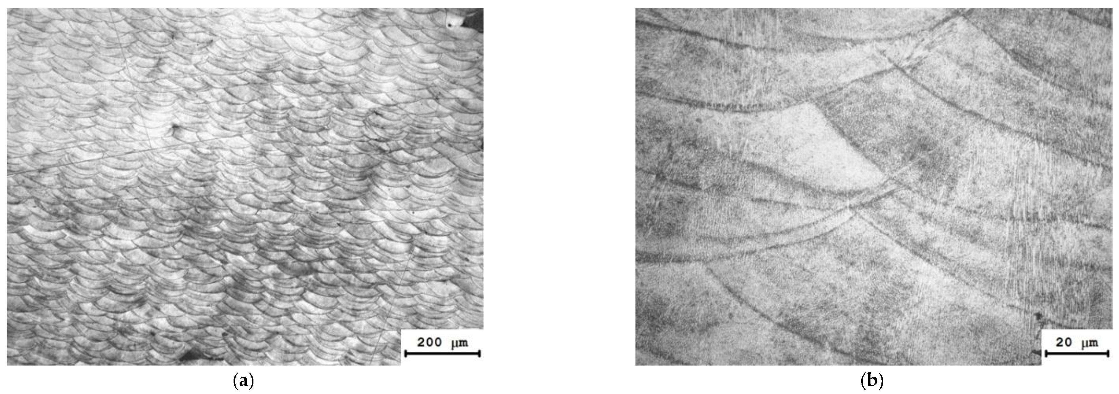 Materials 15 04806 g008 550