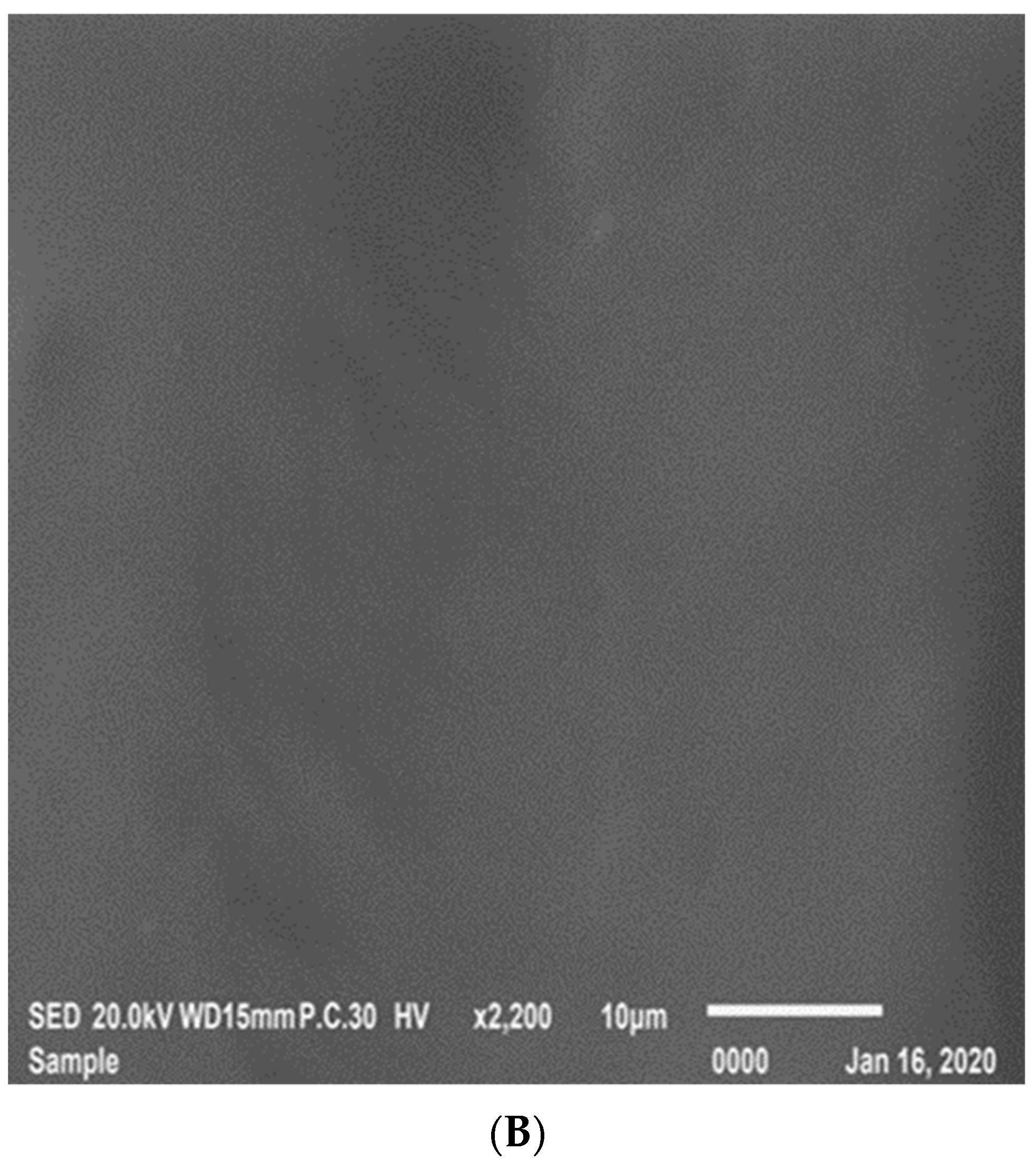 Materials 15 04811 g009b