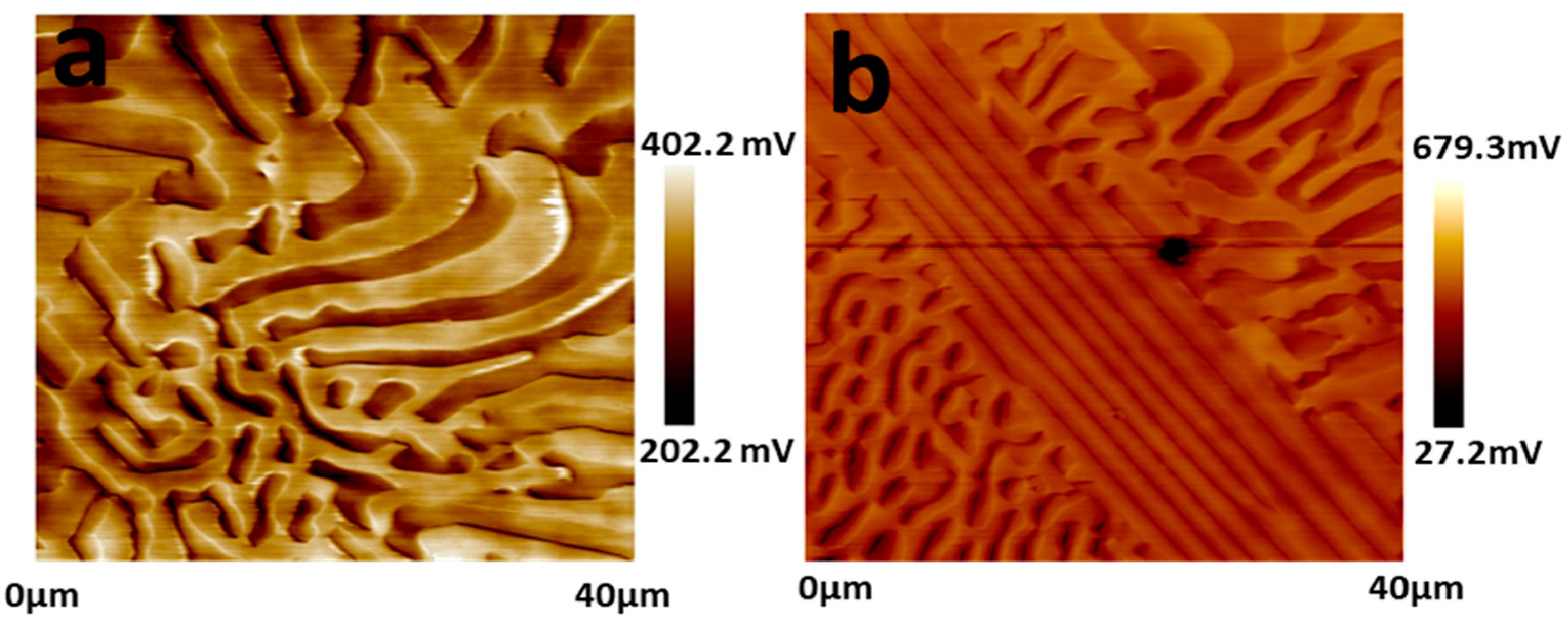 Materials 15 04822 g004