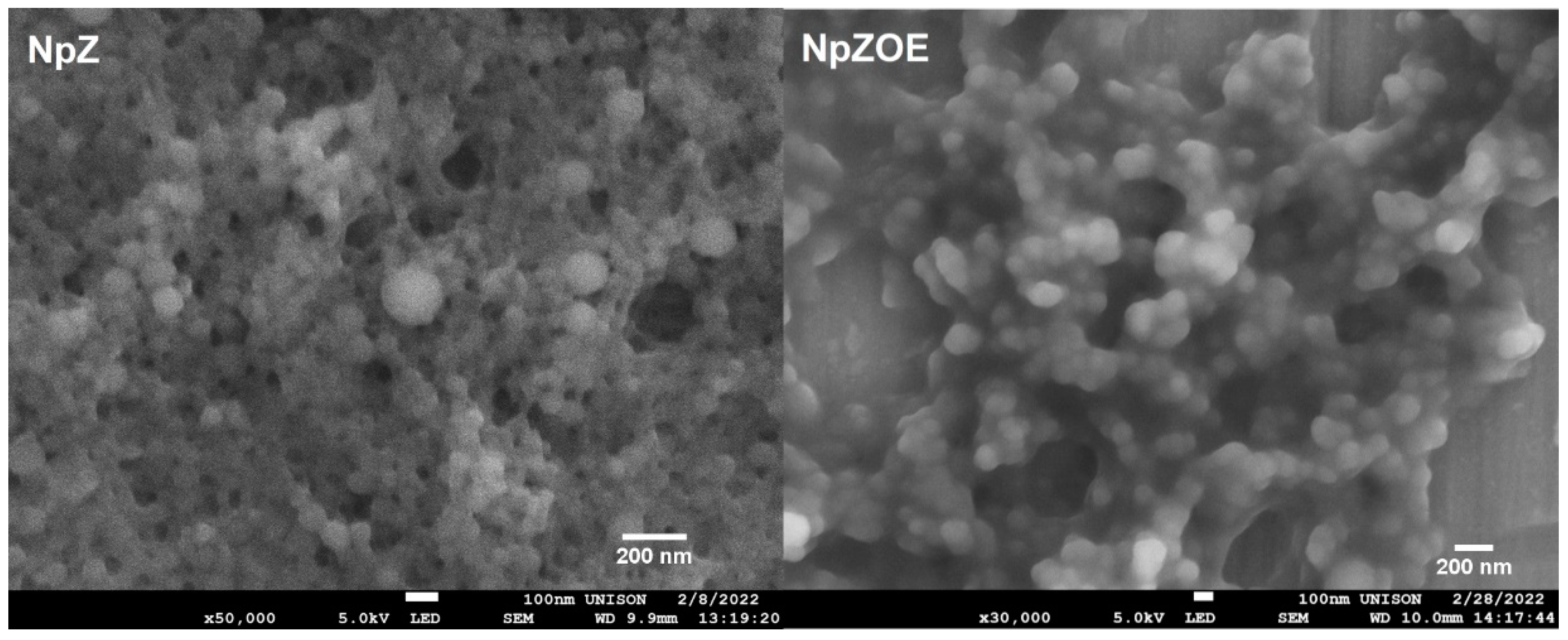 Materials 15 04838 g002 550