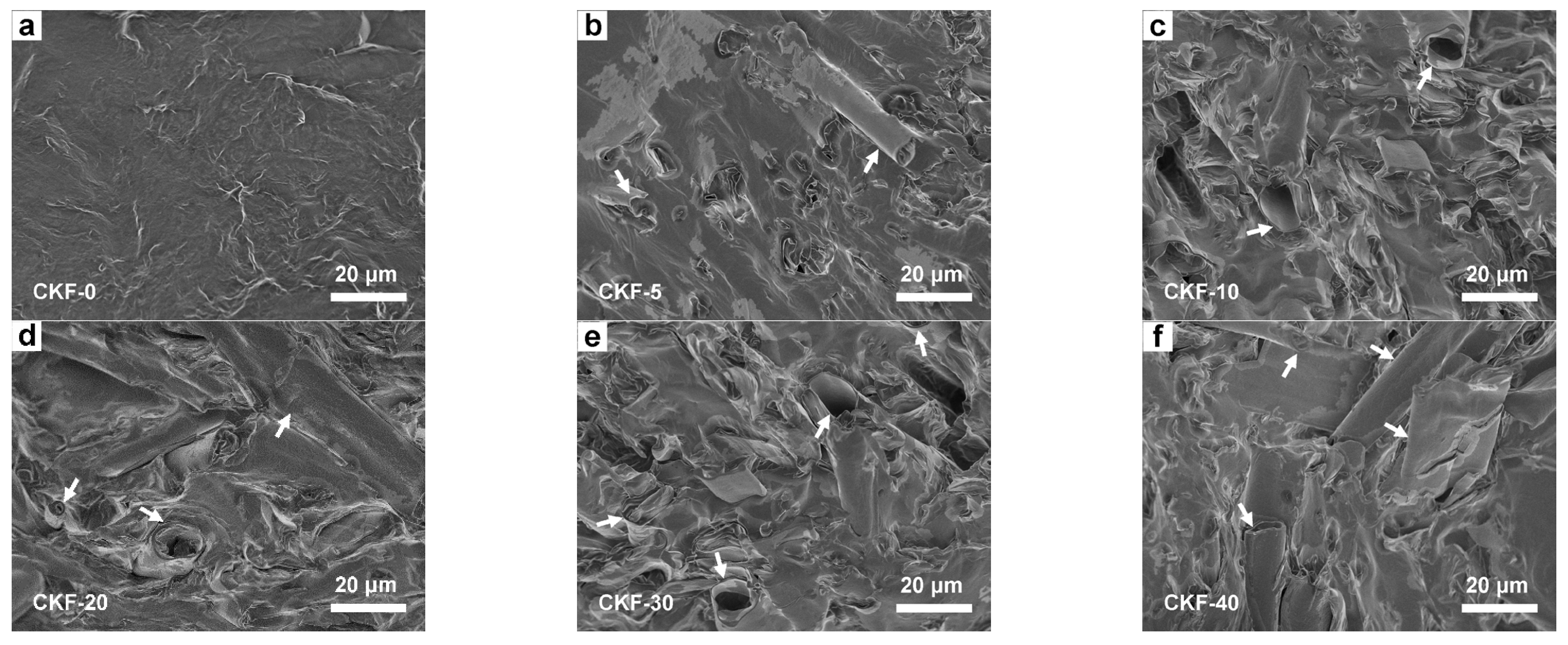 Materials 15 04845 g004 550