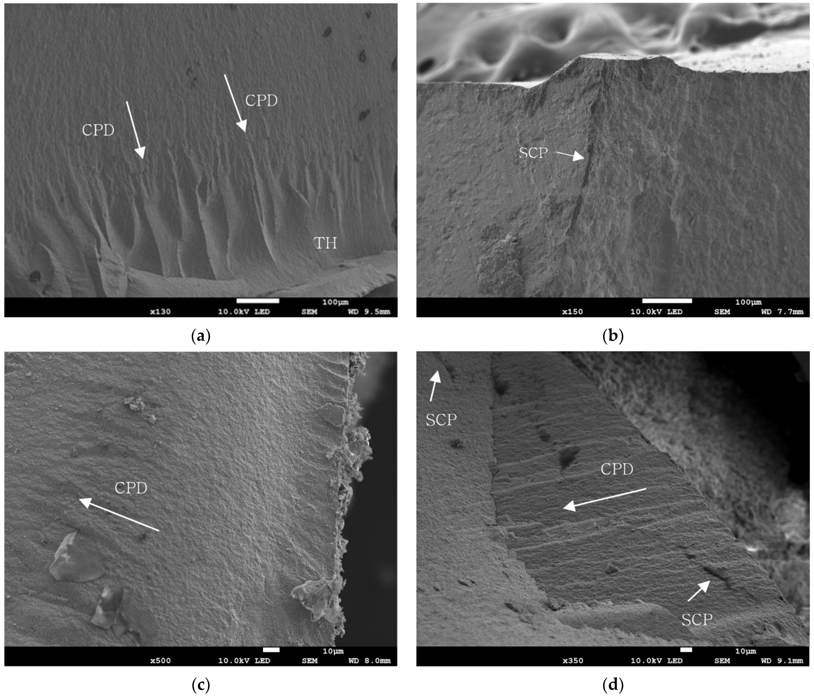 Materials 15 04861 g003