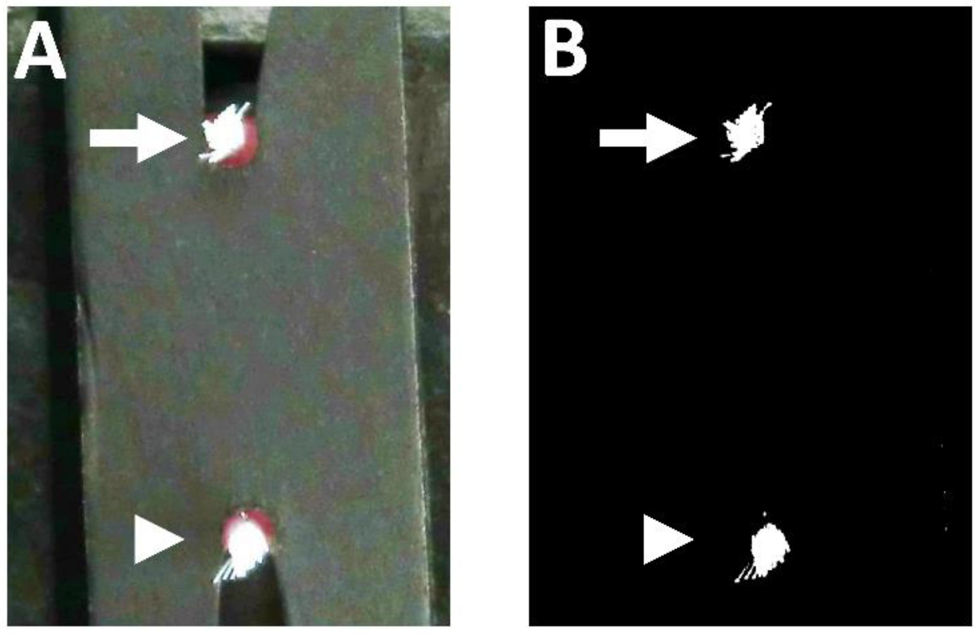 Materials 15 04890 g002