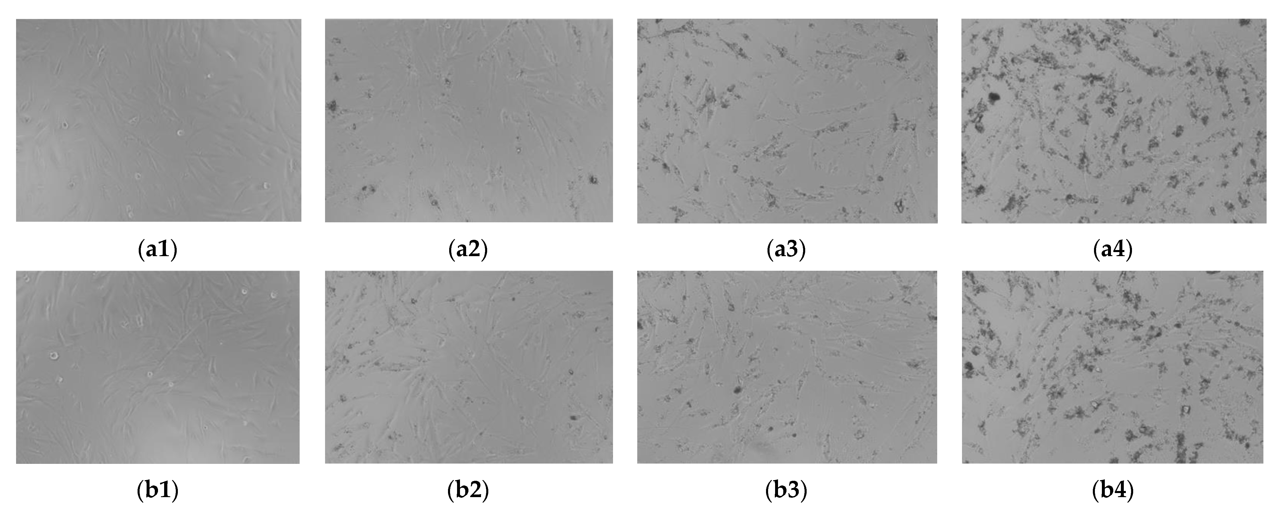 Materials 15 04899 g010