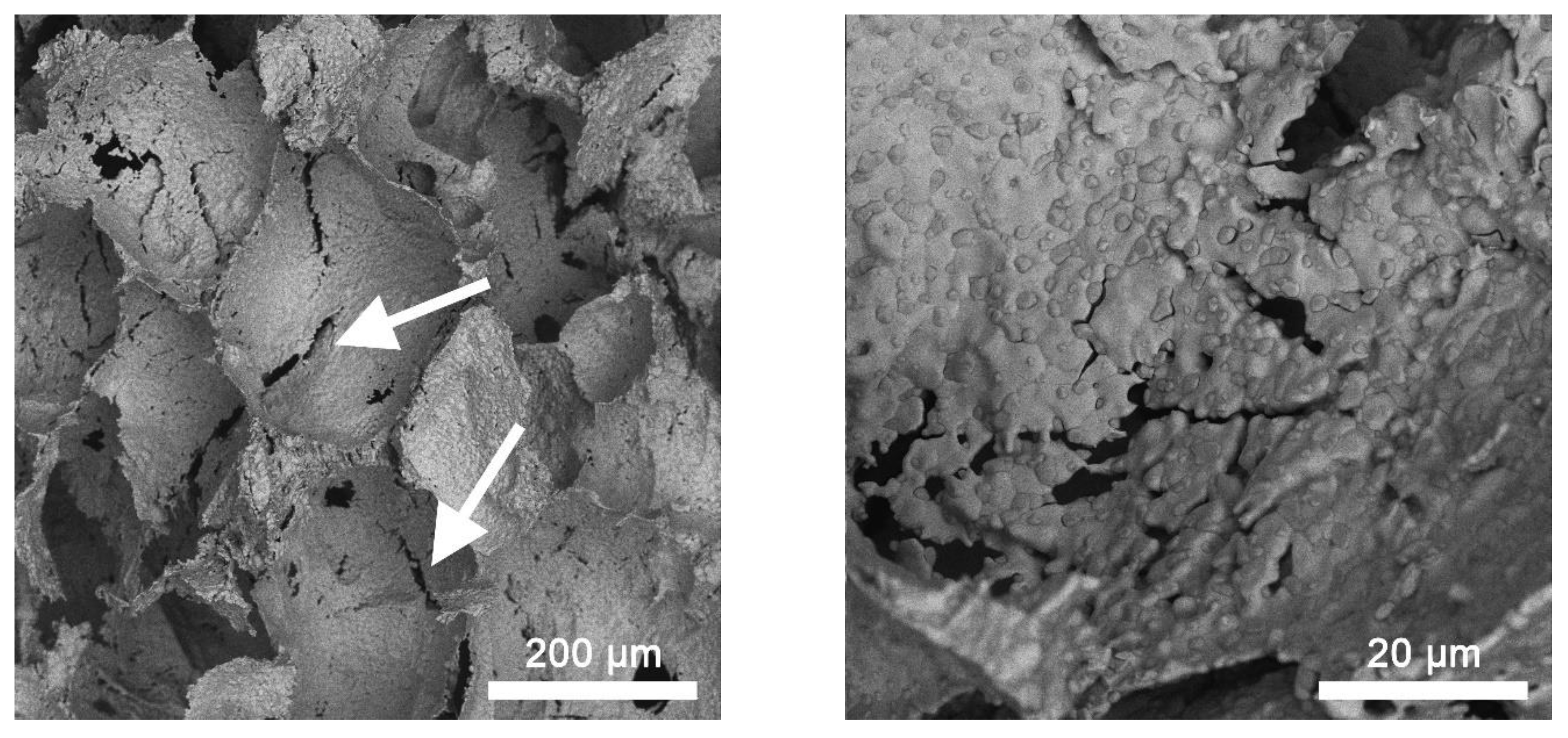 Materials 15 04900 g009 550