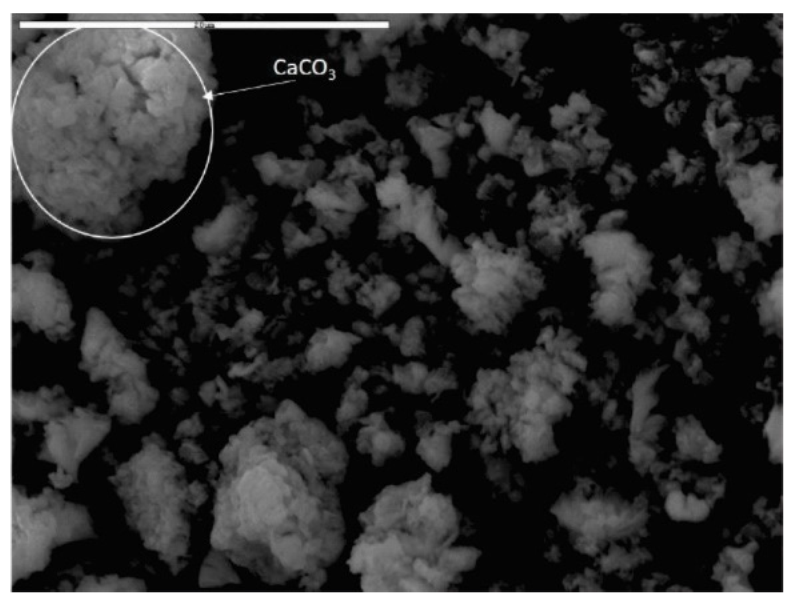 Materials 15 04919 g007 550