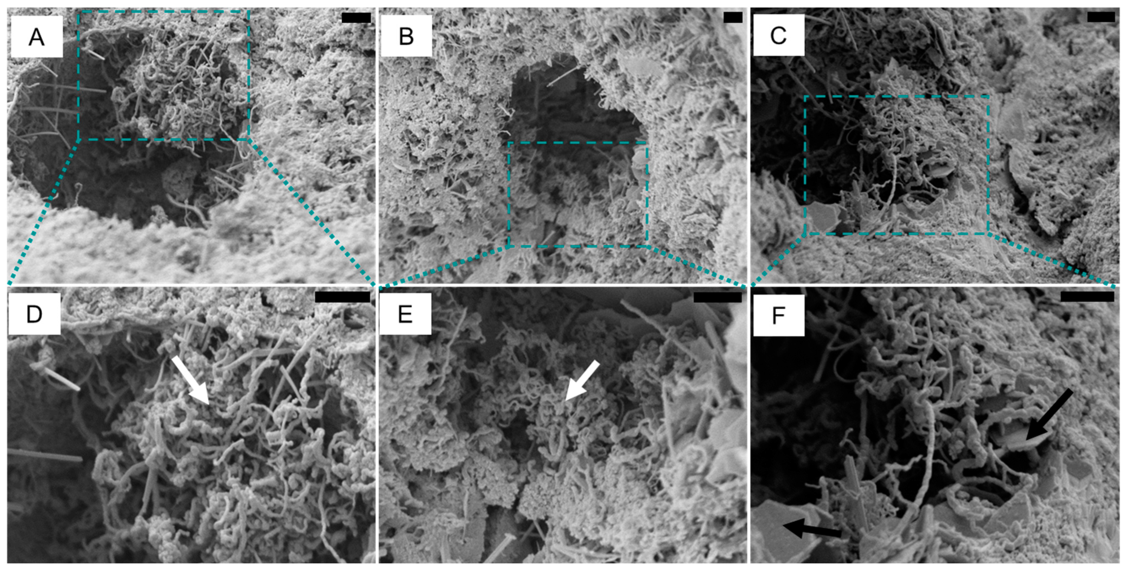 Materials 15 04951 g006