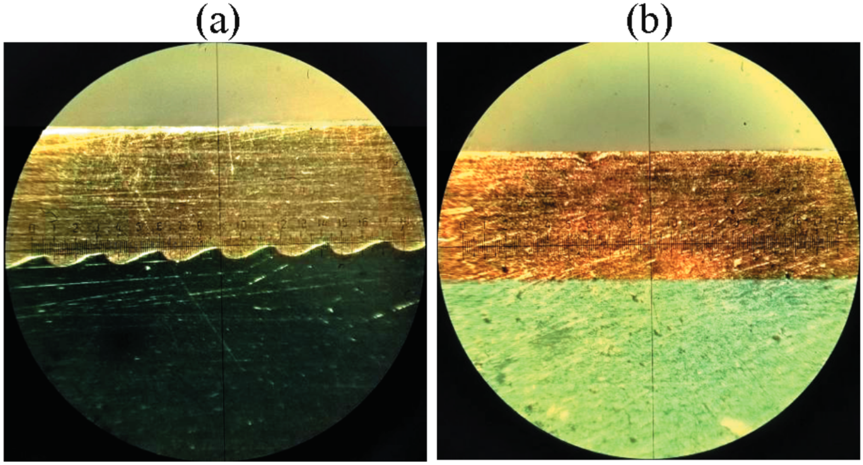 Materials 15 04952 g004 550