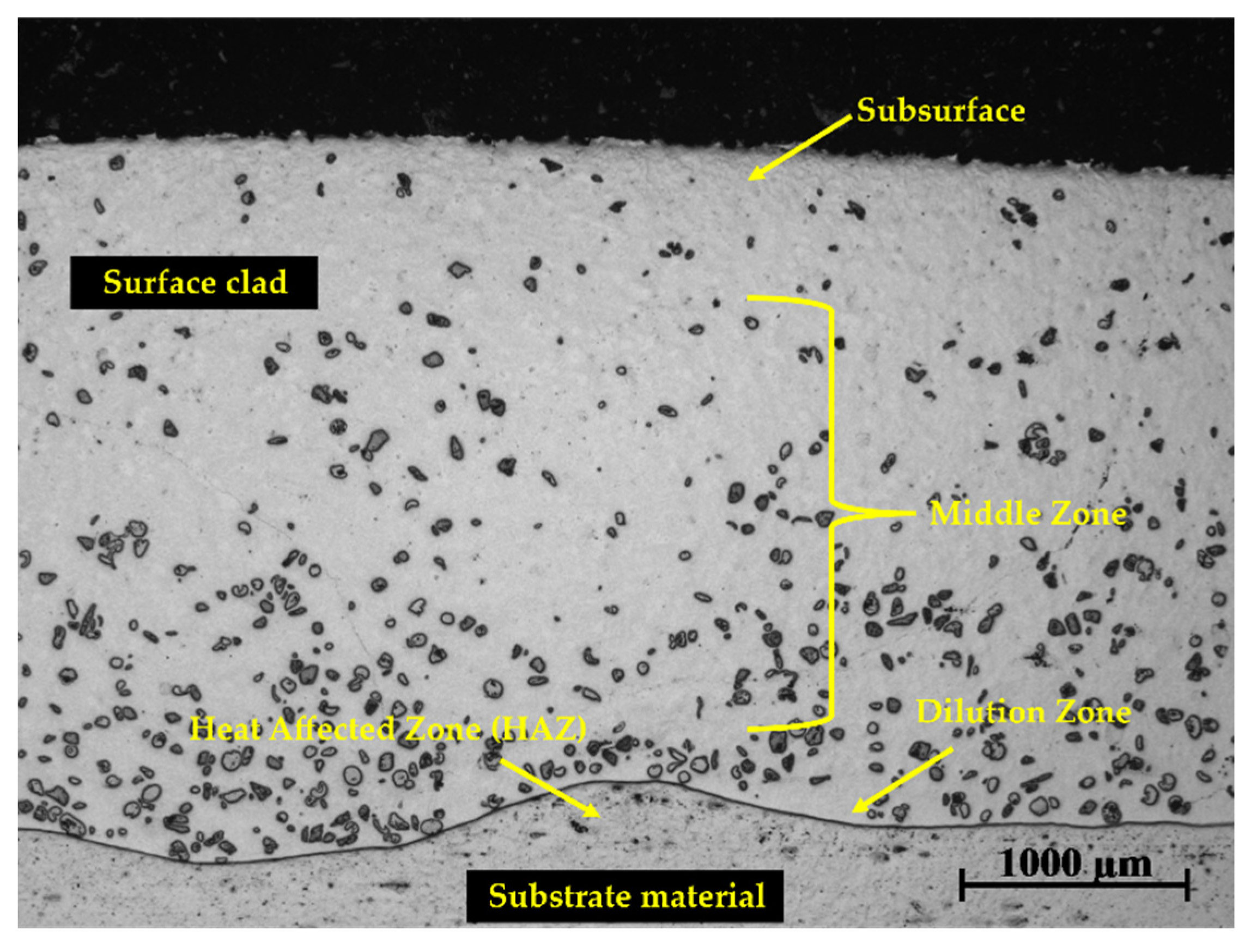 Materials 15 04956 g008