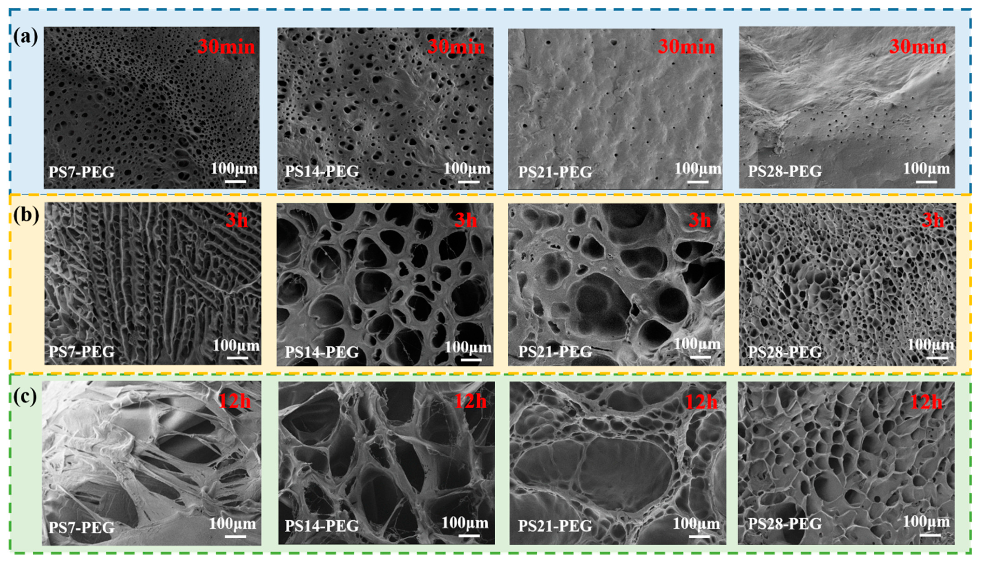 Materials 15 04959 g010 550