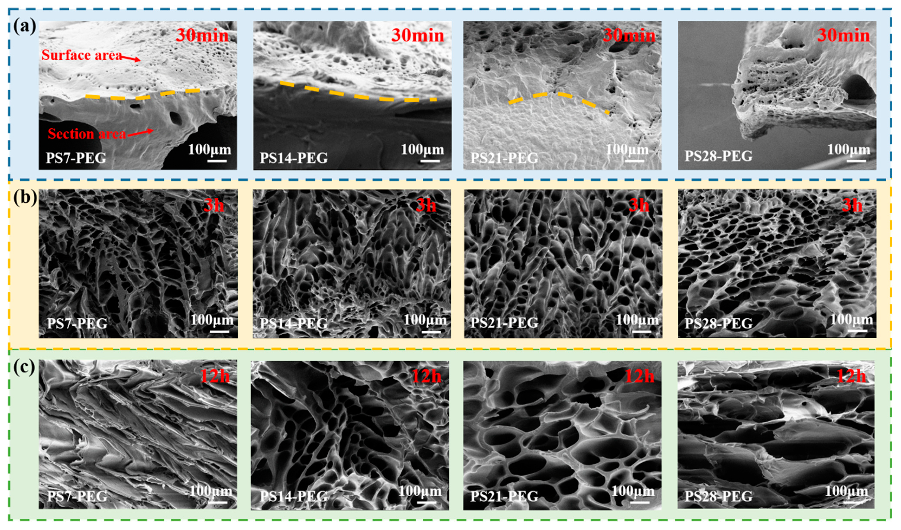 Materials 15 04959 g011 550