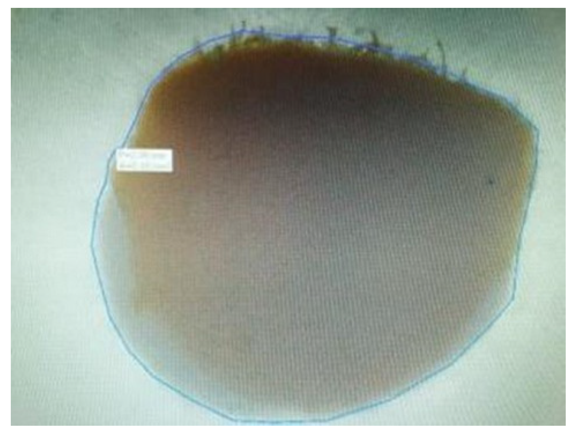 Materials 15 04966 g002 Materials 15 04966 g002