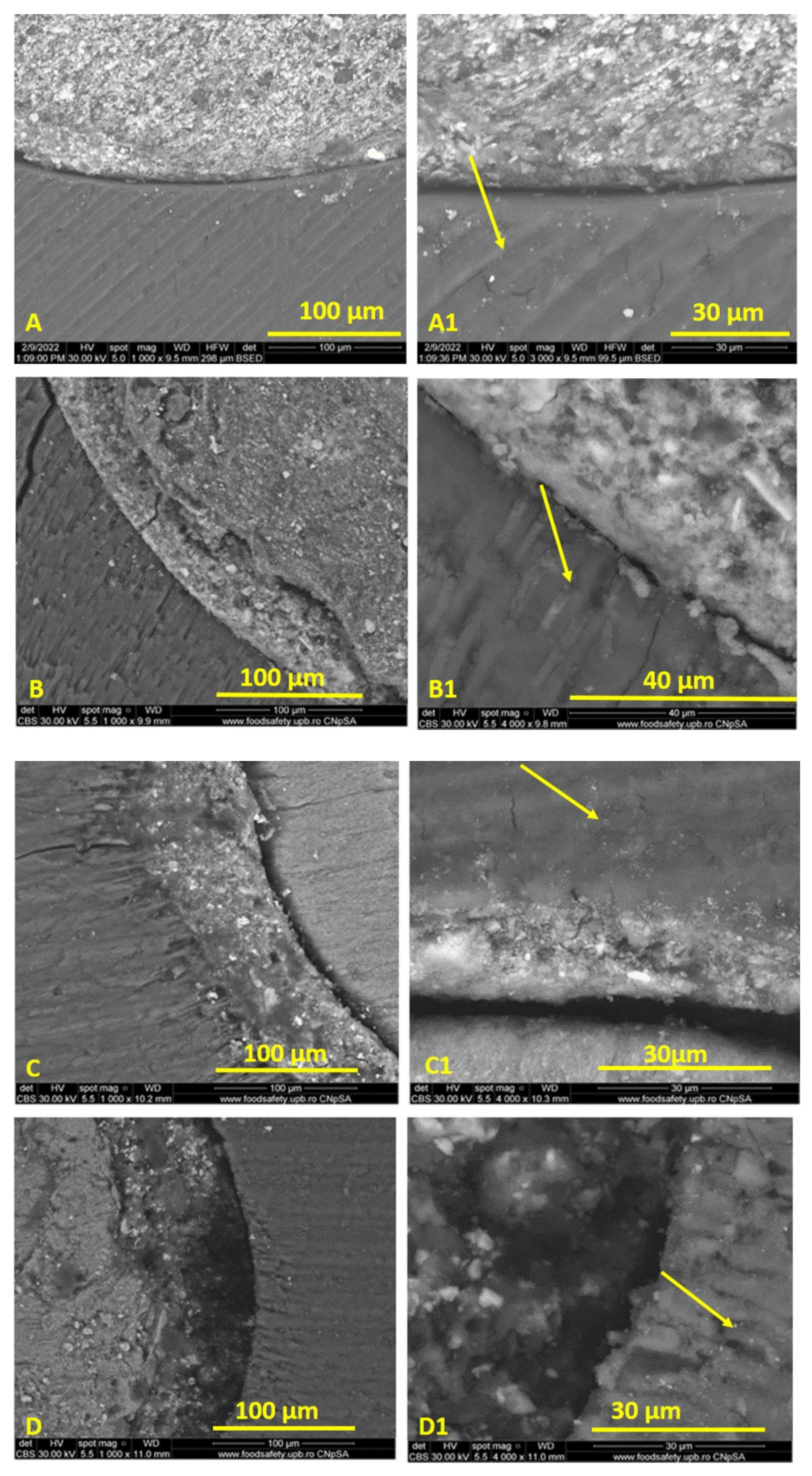 Materials 15 04966 g006 Materials 15 04966 g006