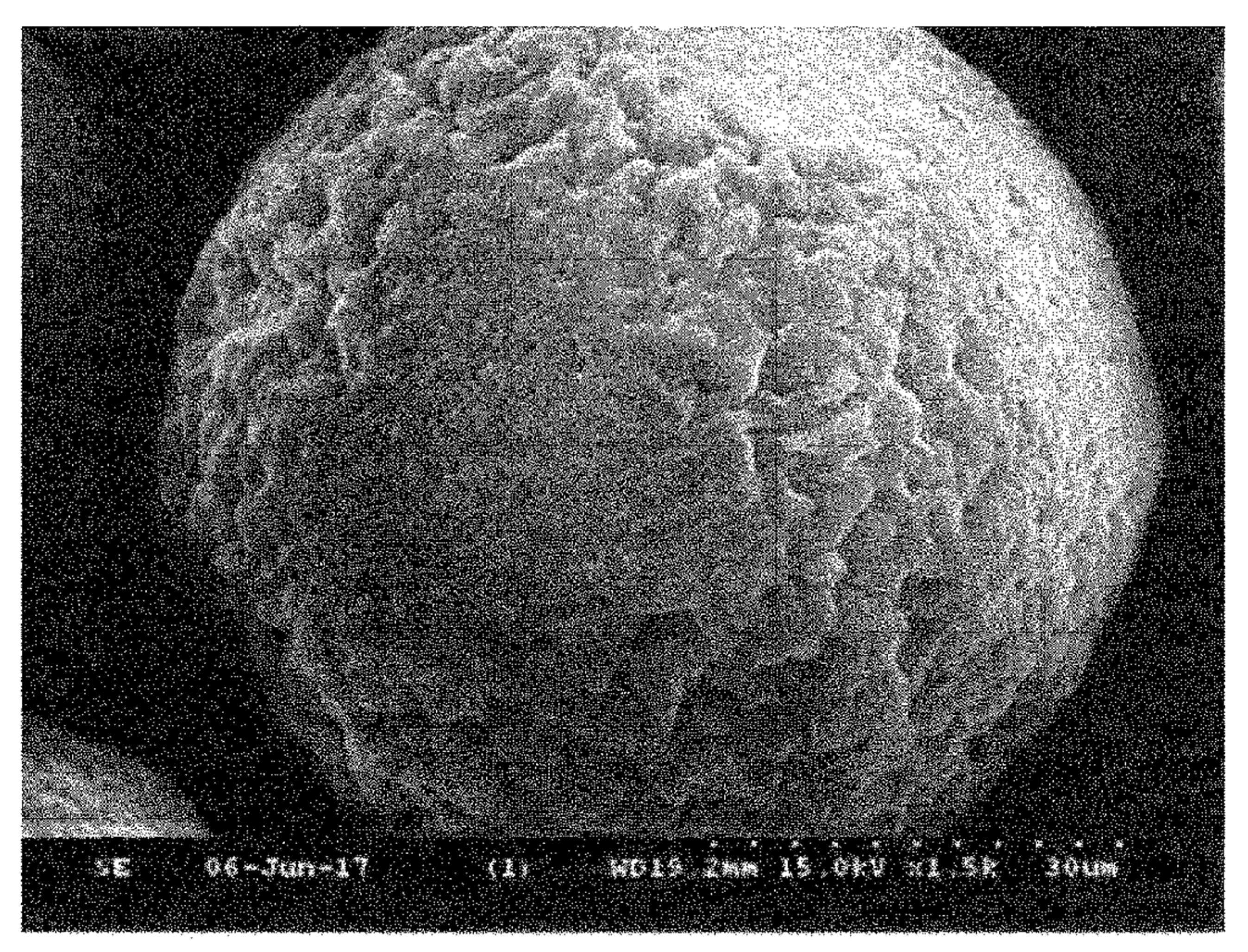 Materials 15 04999 g004 Materials 15 04999 g004