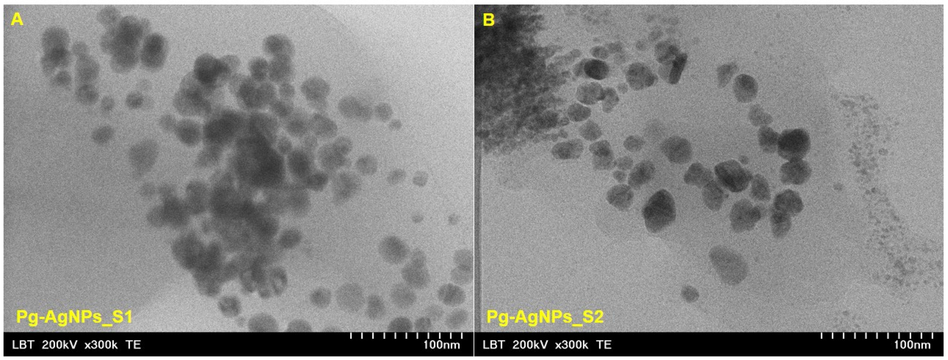 Materials 15 05006 g004