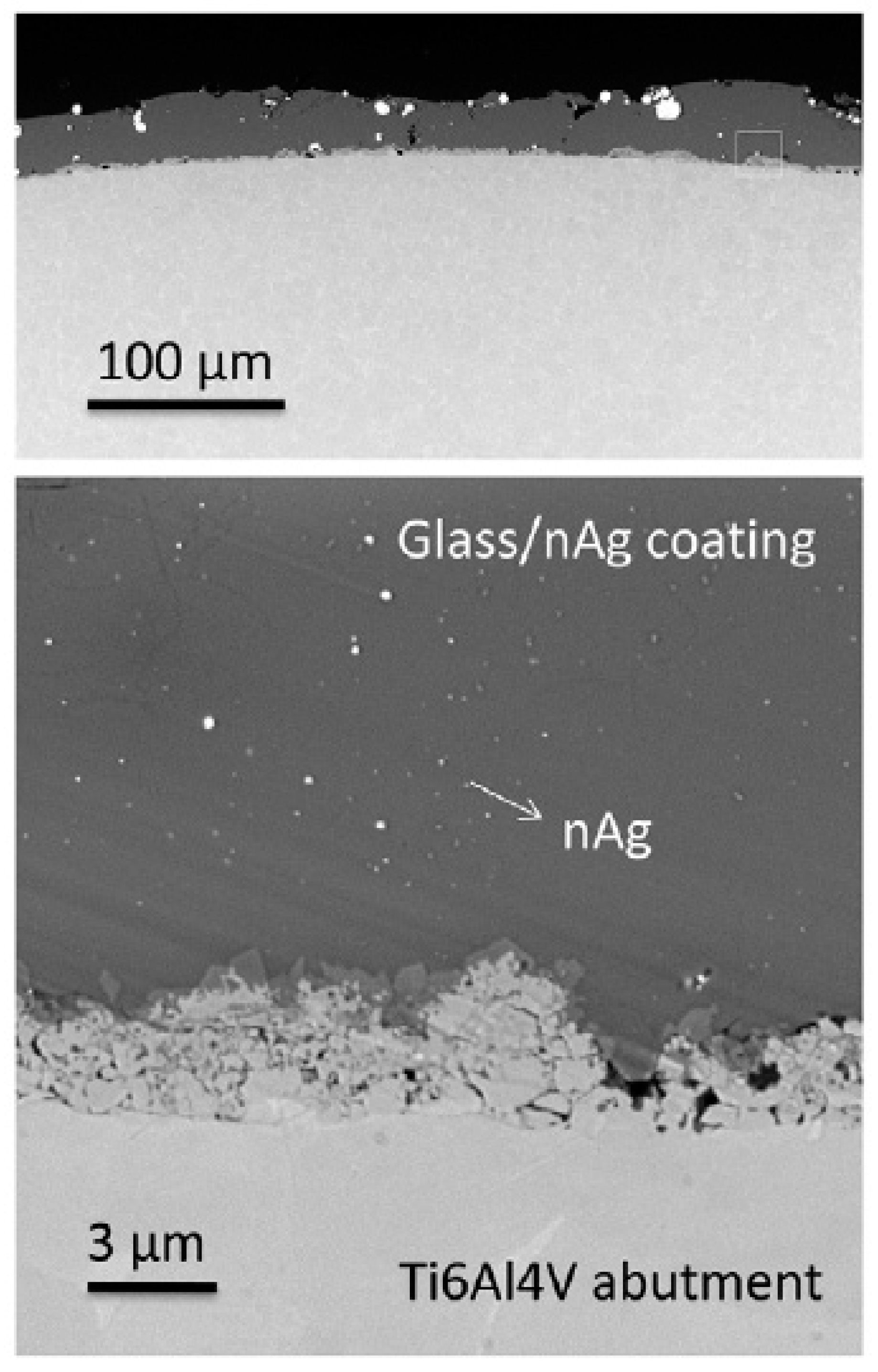 Materials 15 05025 g004 550