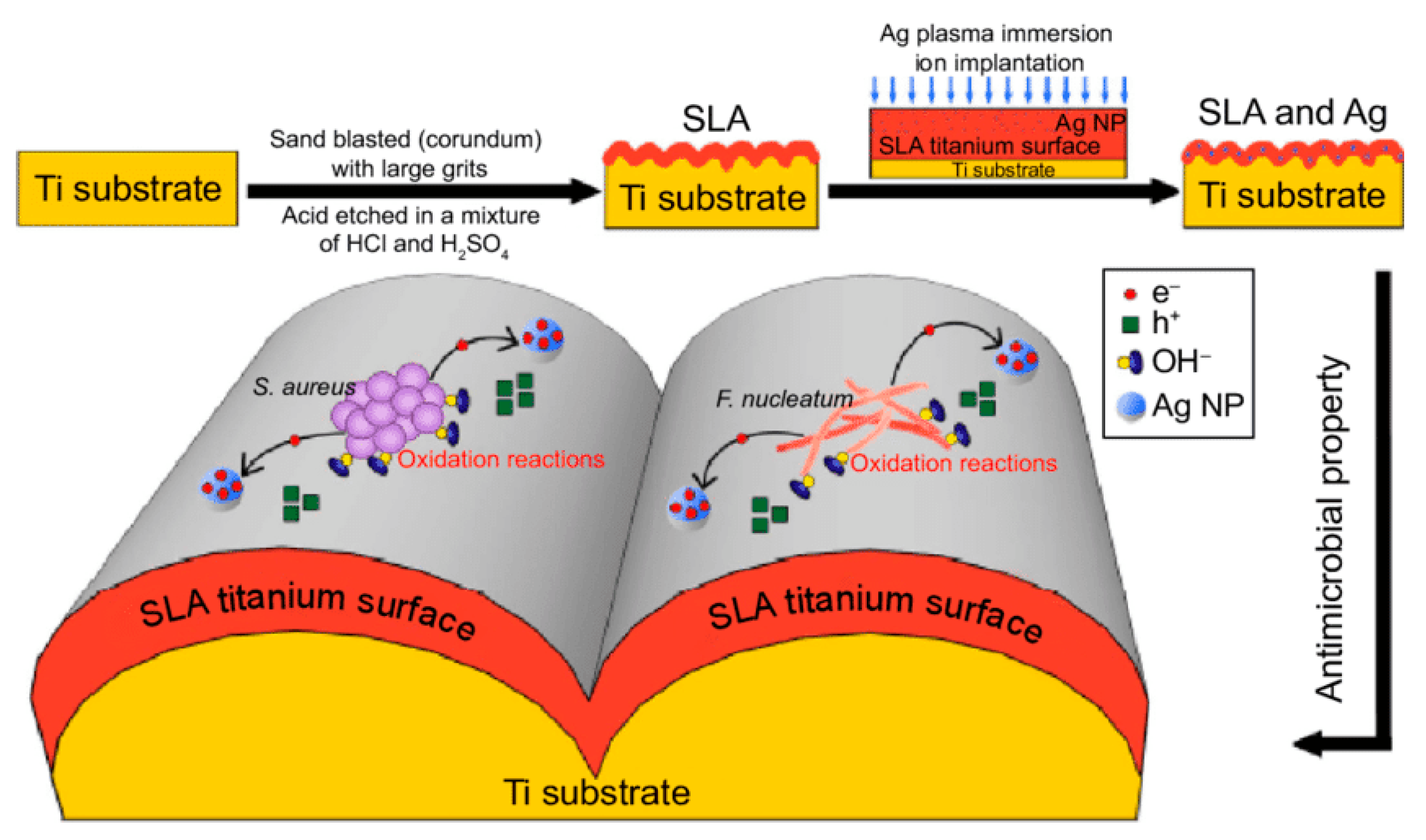Materials 15 05025 g006 550