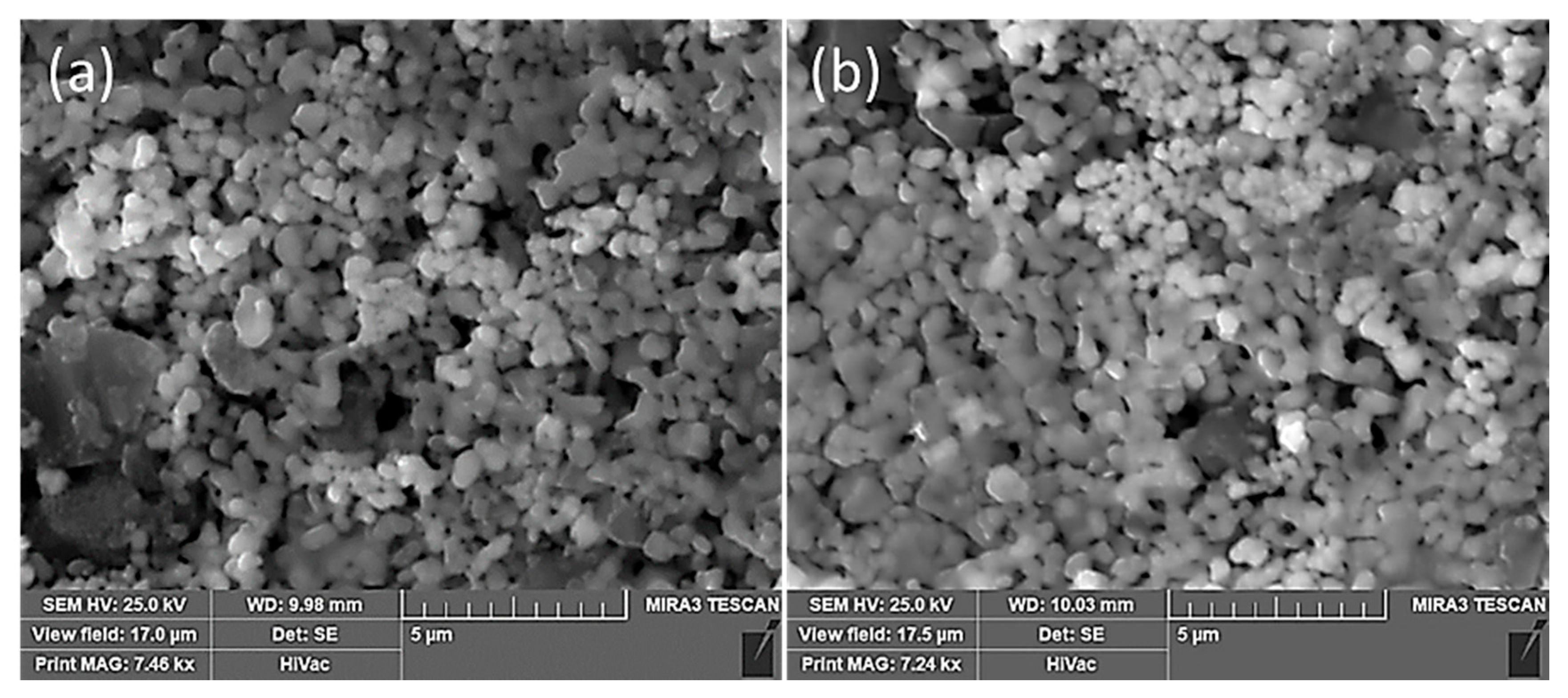 Materials 15 05036 g003 550