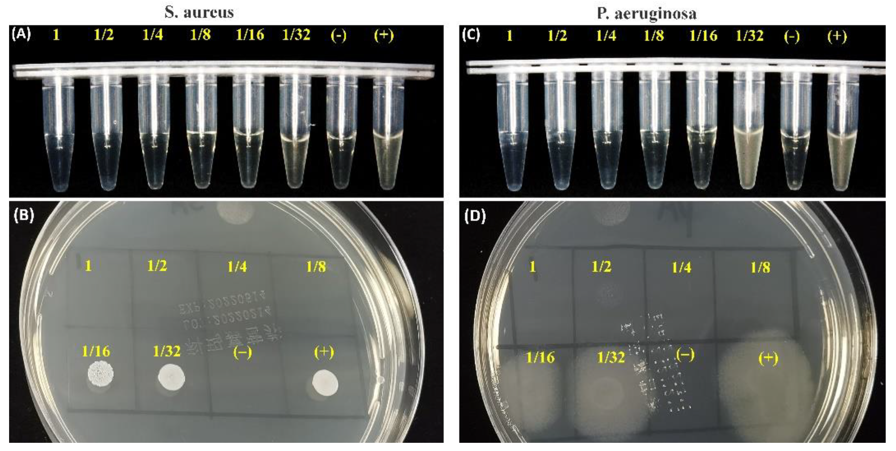 Materials 15 05043 g008 550