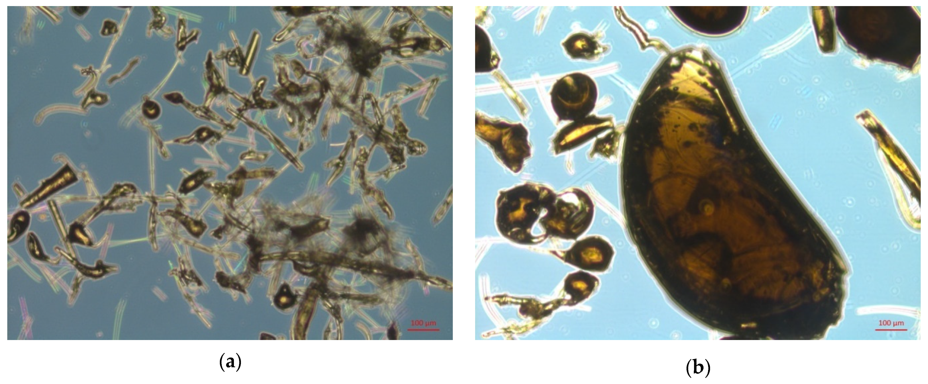 Materials 15 05058 g007