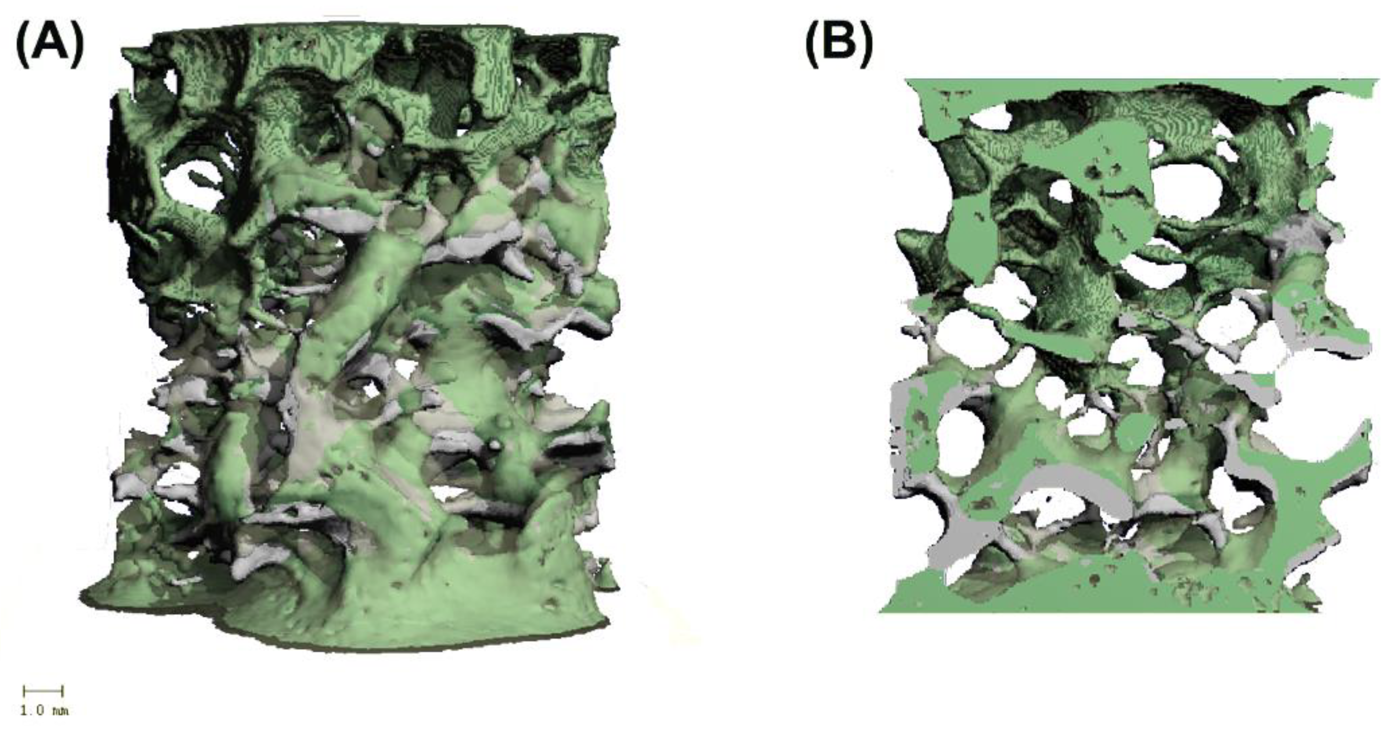 Materials 15 05065 g002 550