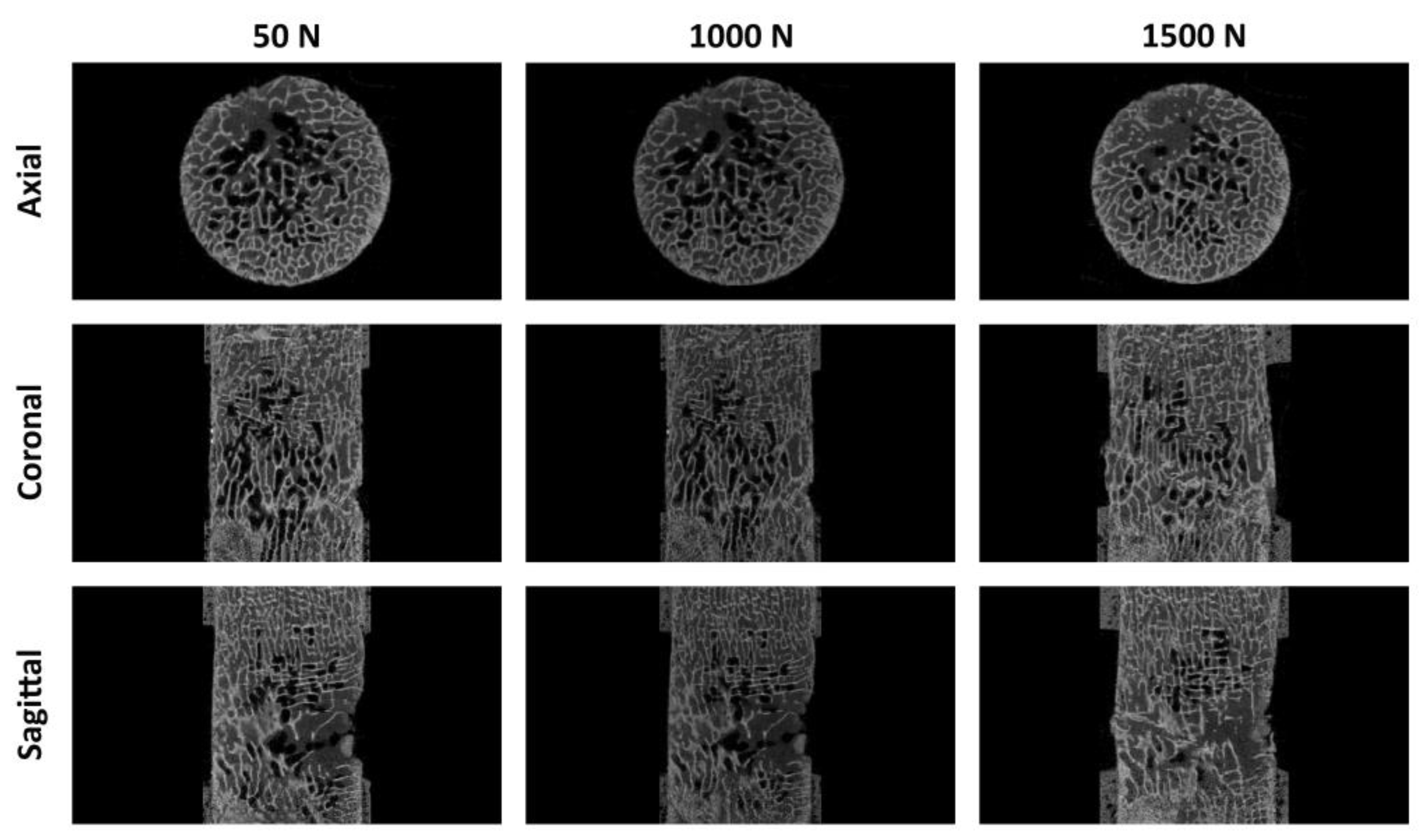 Materials 15 05065 g006 550