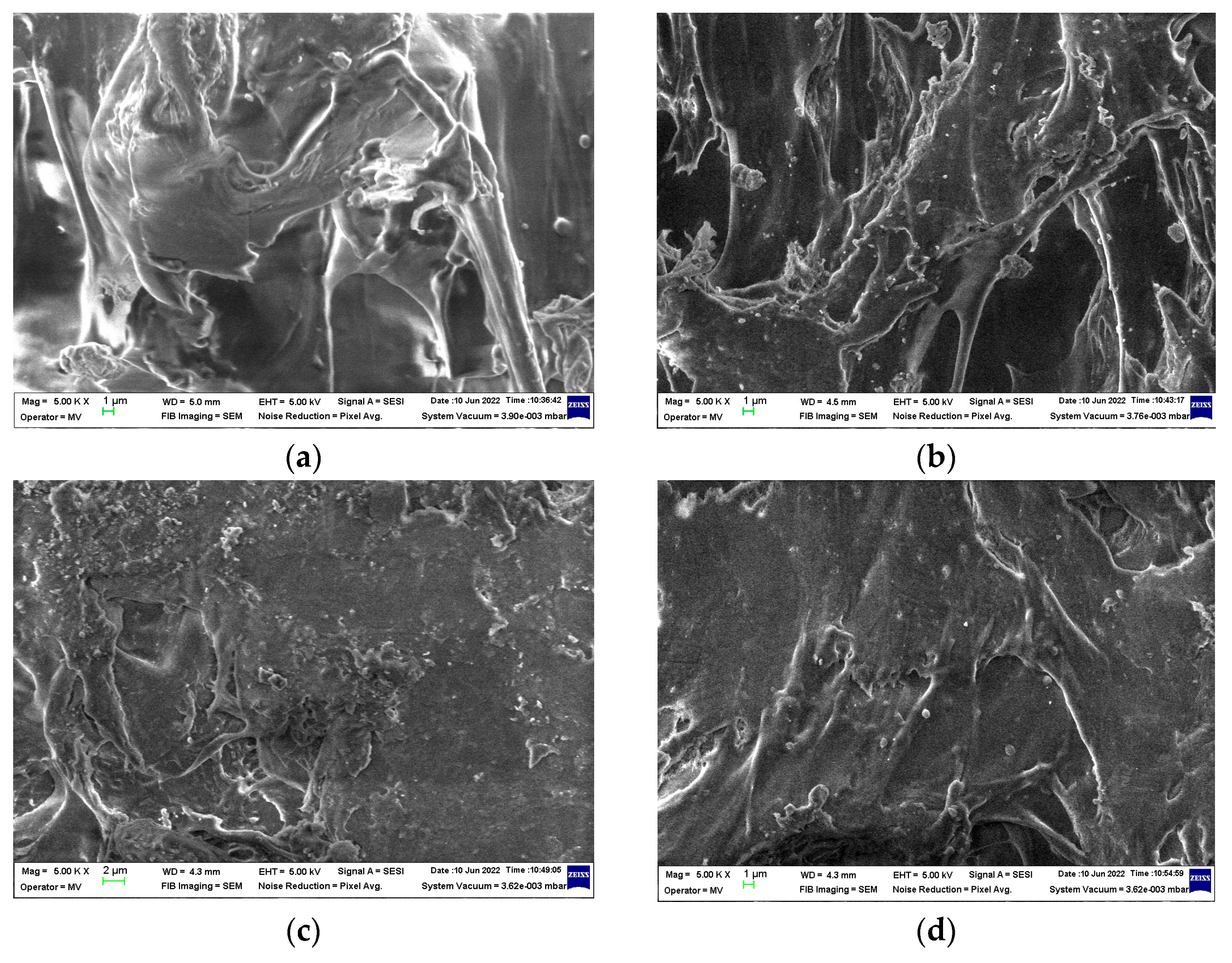 Materials 15 05080 g010