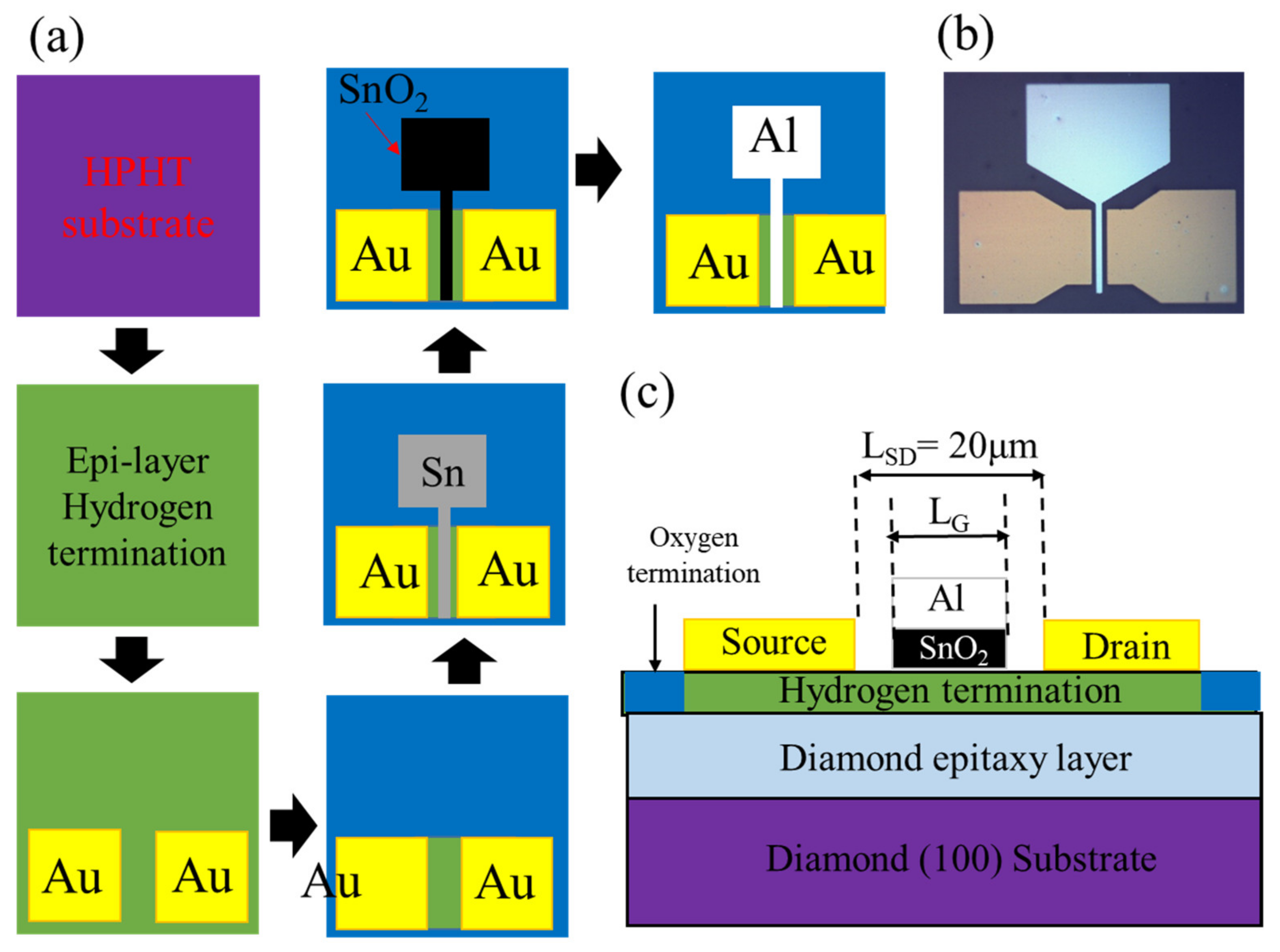 Materials 15 05082 g001