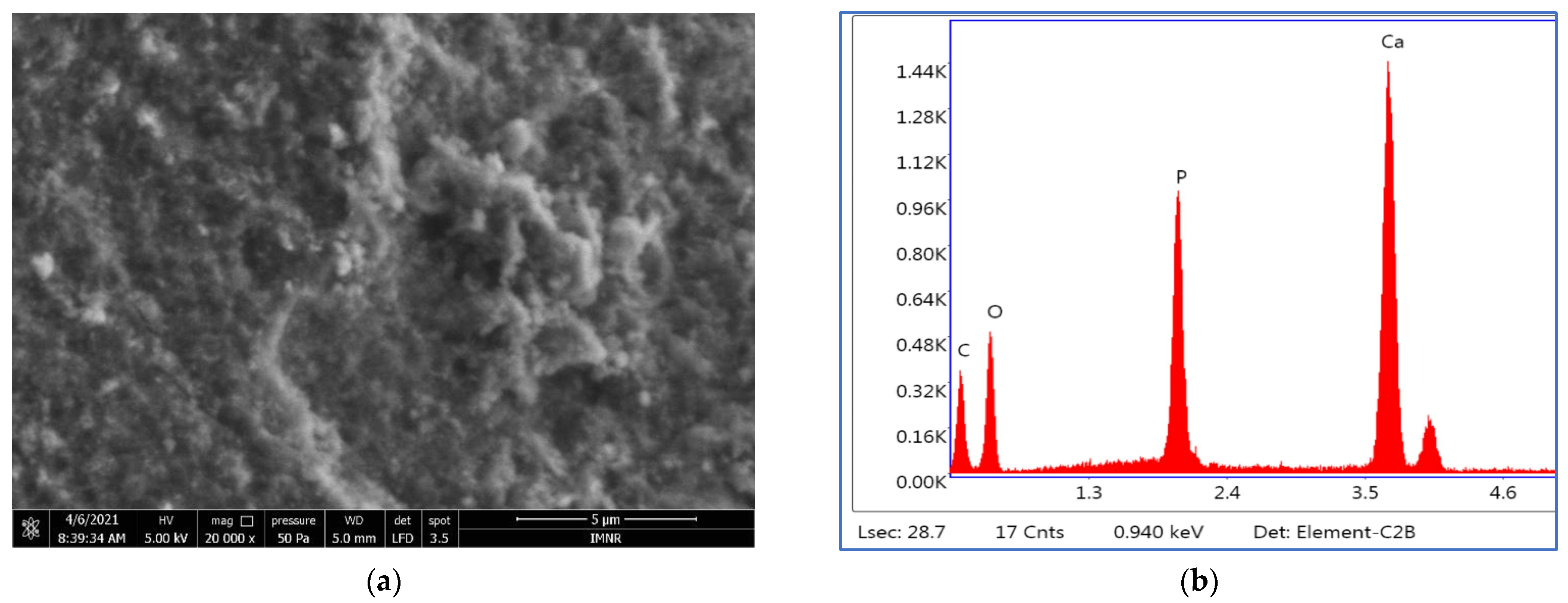Materials 15 05091 g003 550