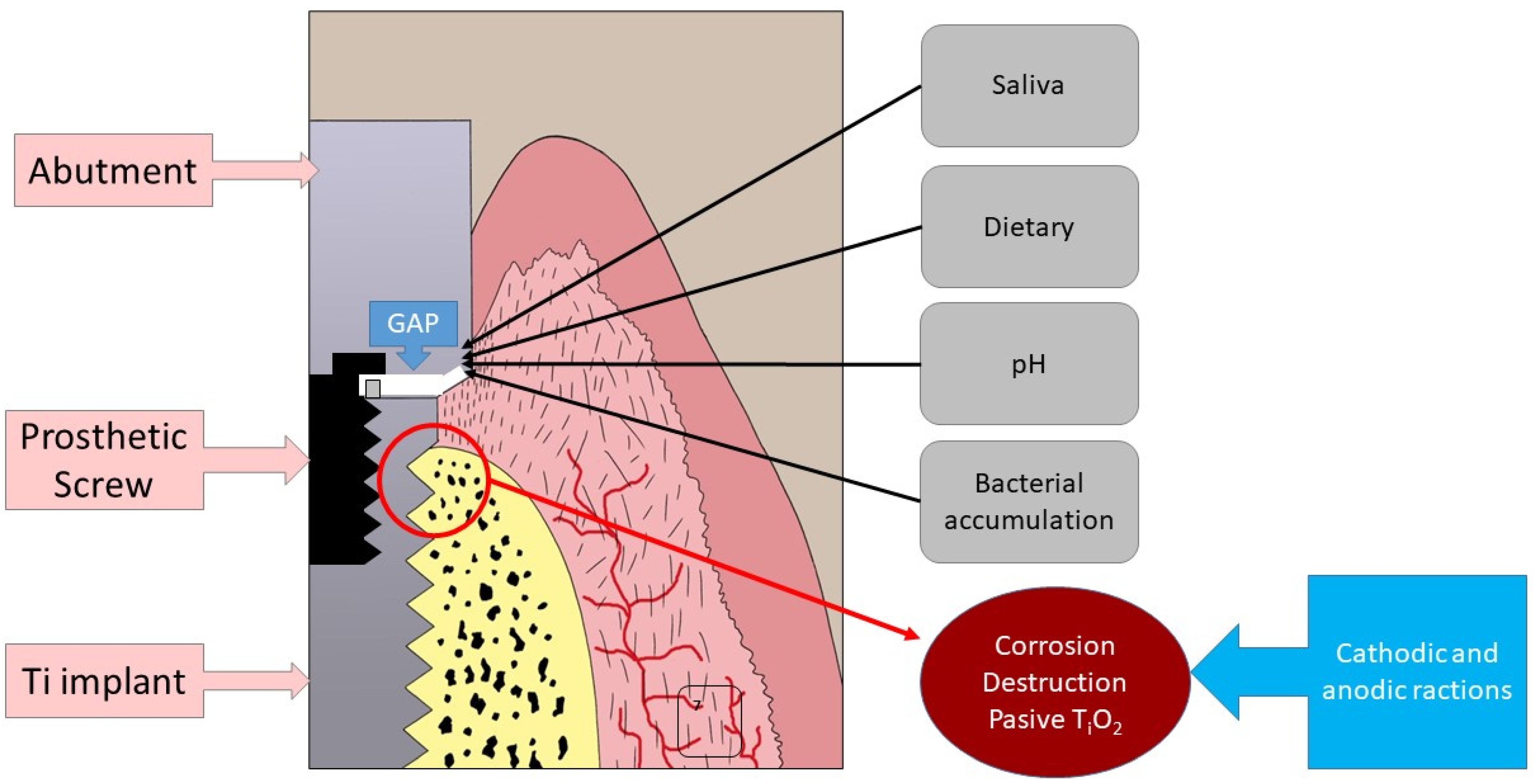 Materials 15 05100 g002 550