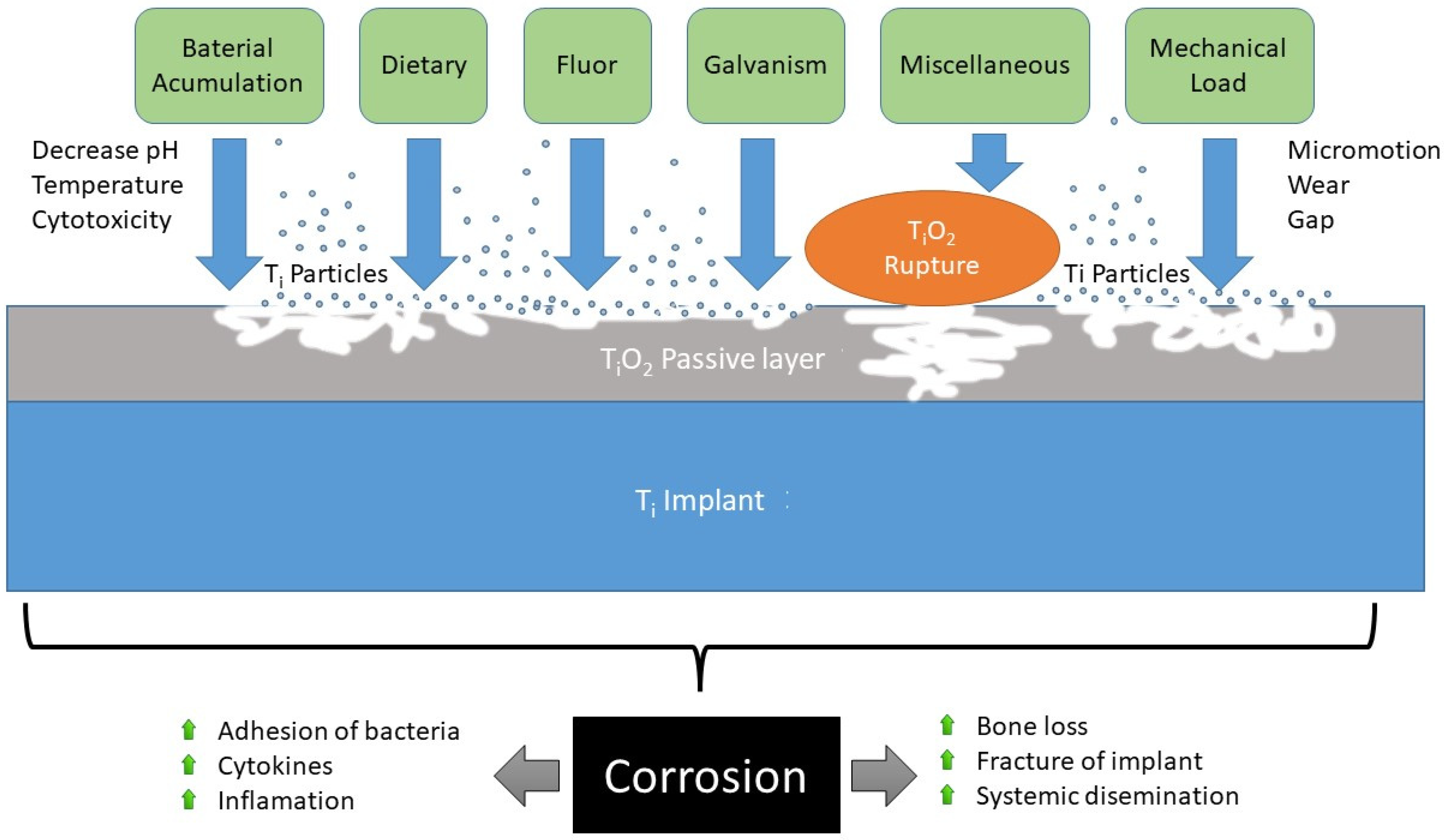 Materials 15 05100 g007 550