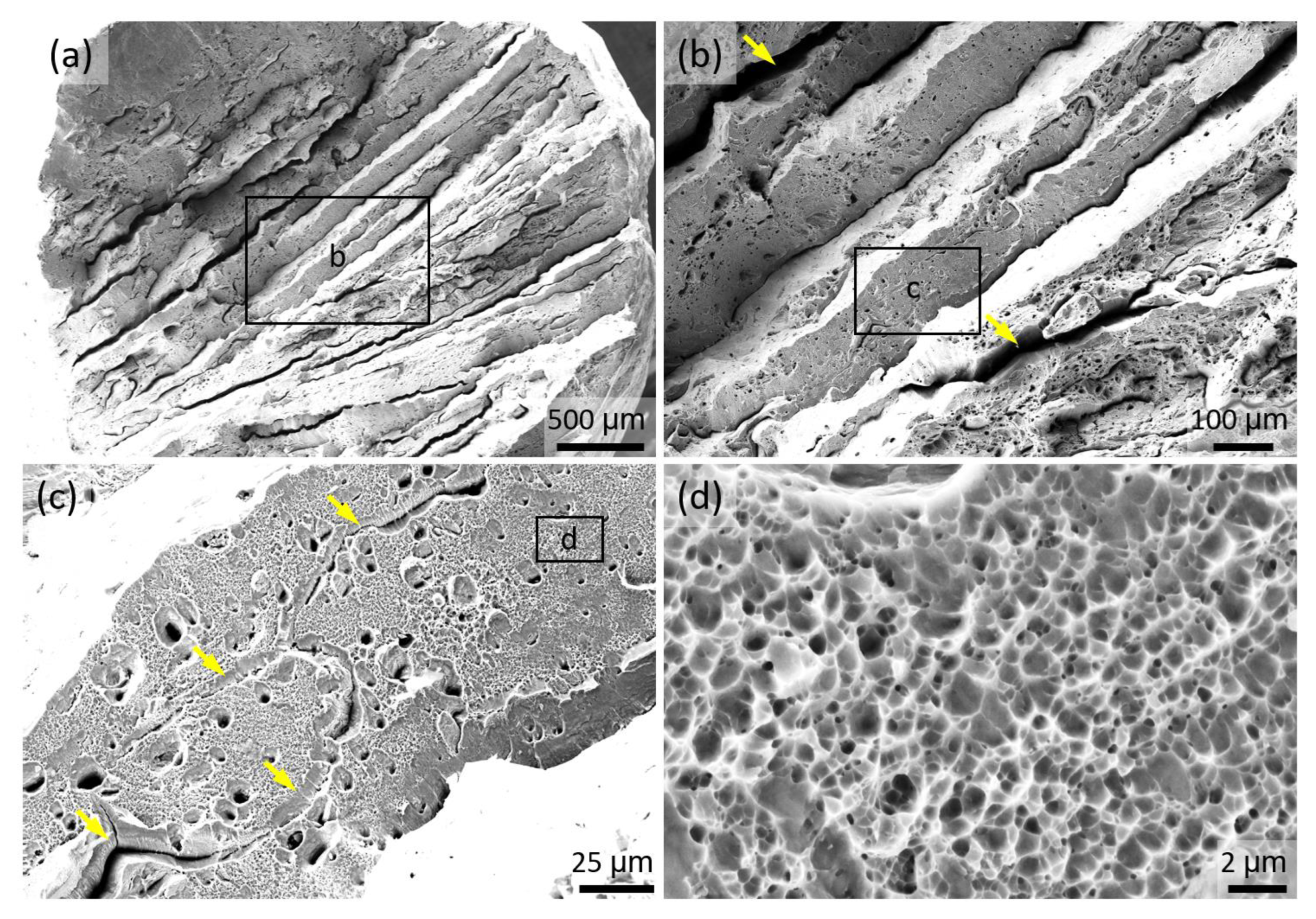 Materials 15 05121 g012