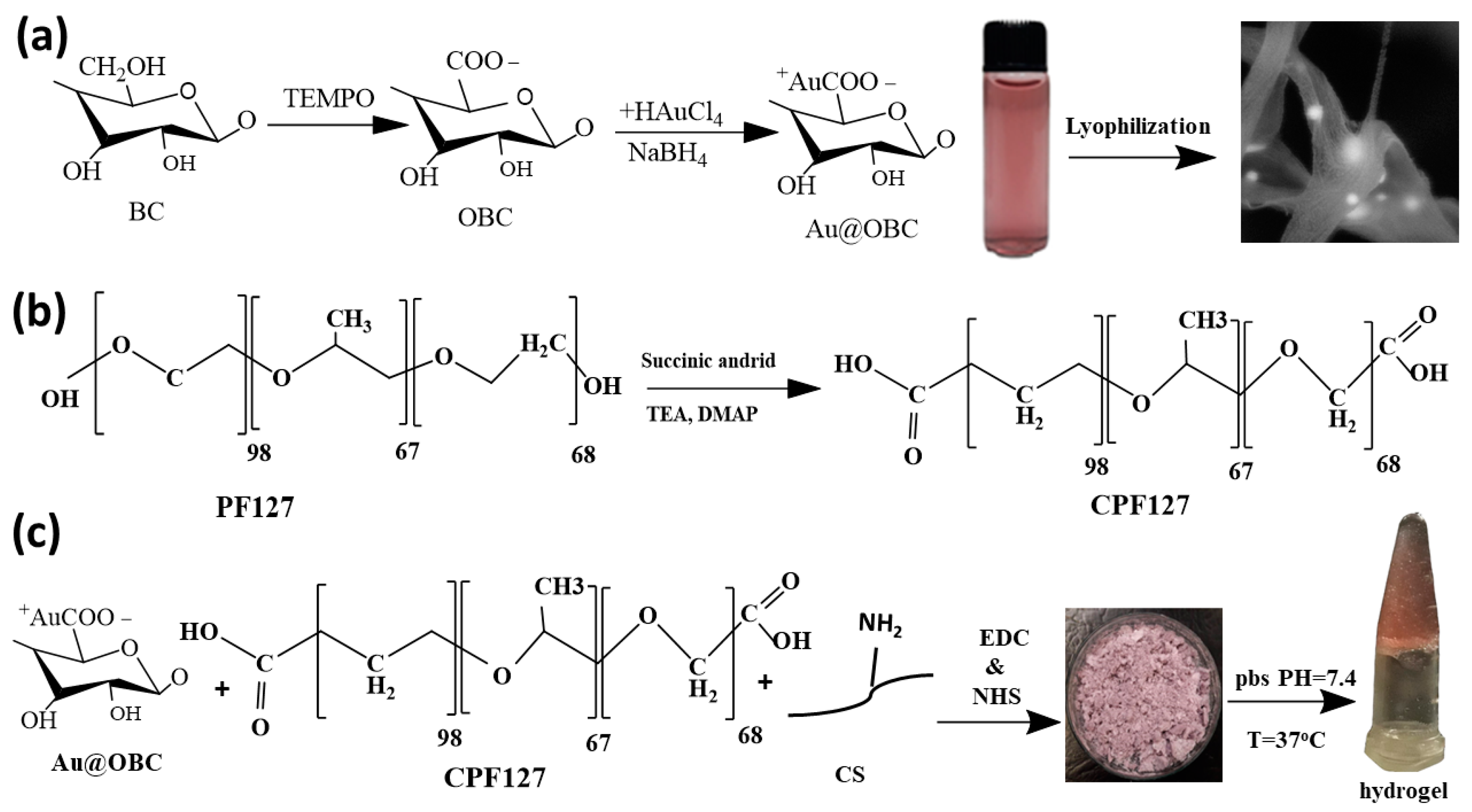 Materials 15 05122 g001