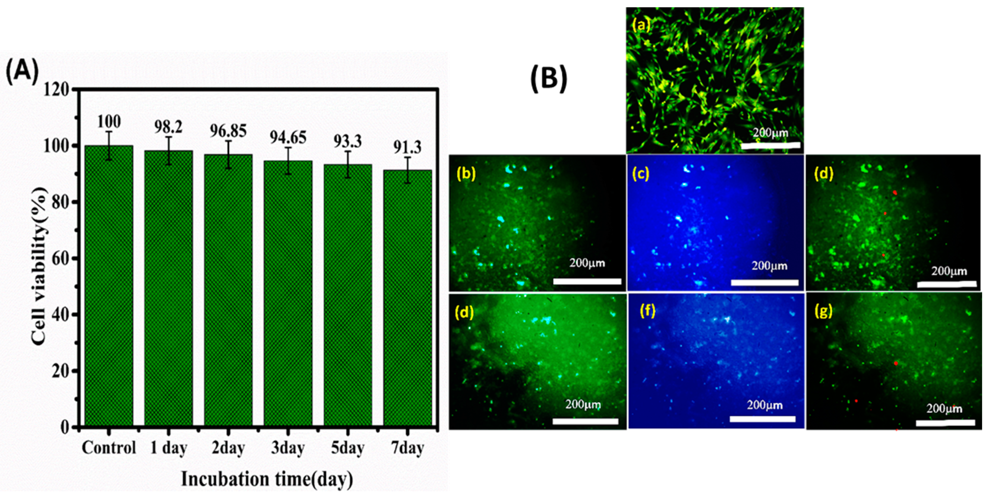 Materials 15 05122 g008