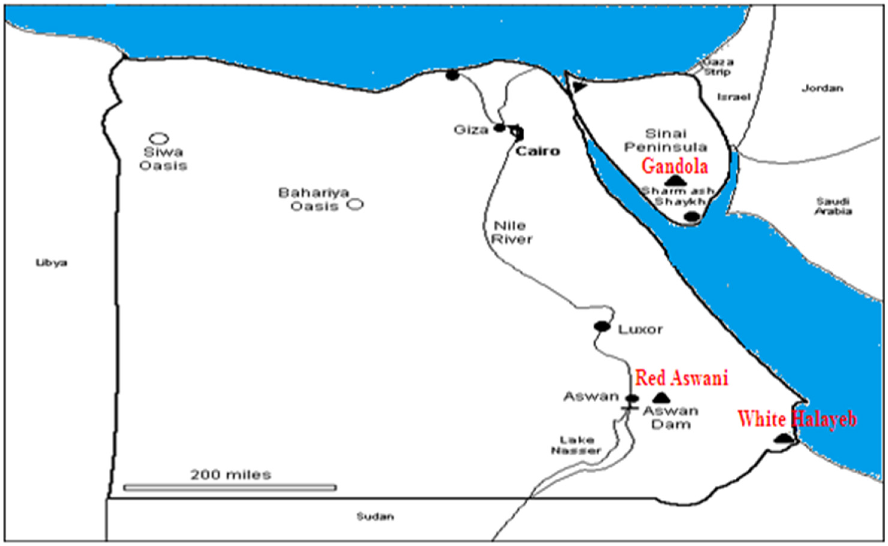 Materials 15 05130 g001