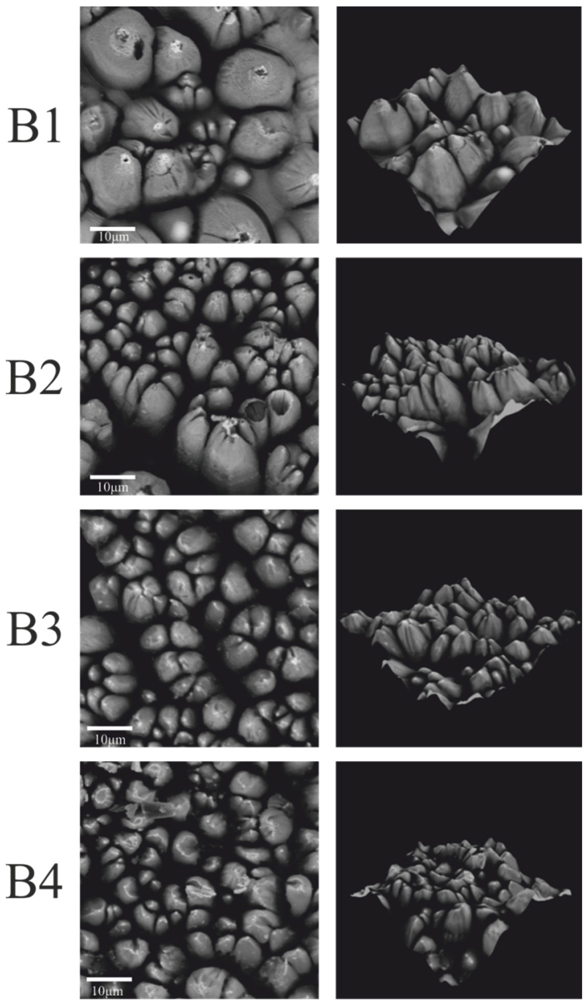 Materials 15 05155 g005