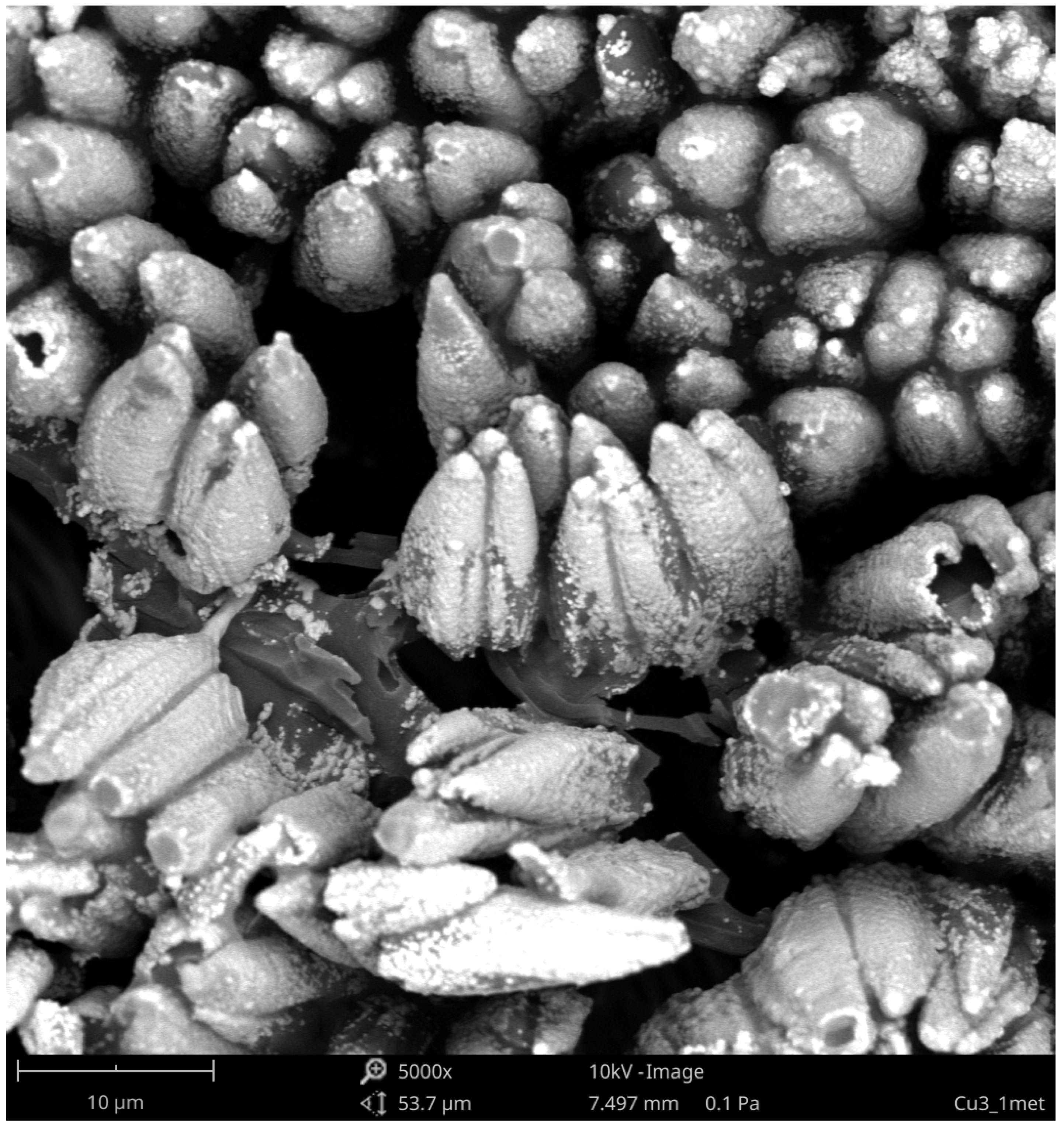 Materials 15 05155 g006