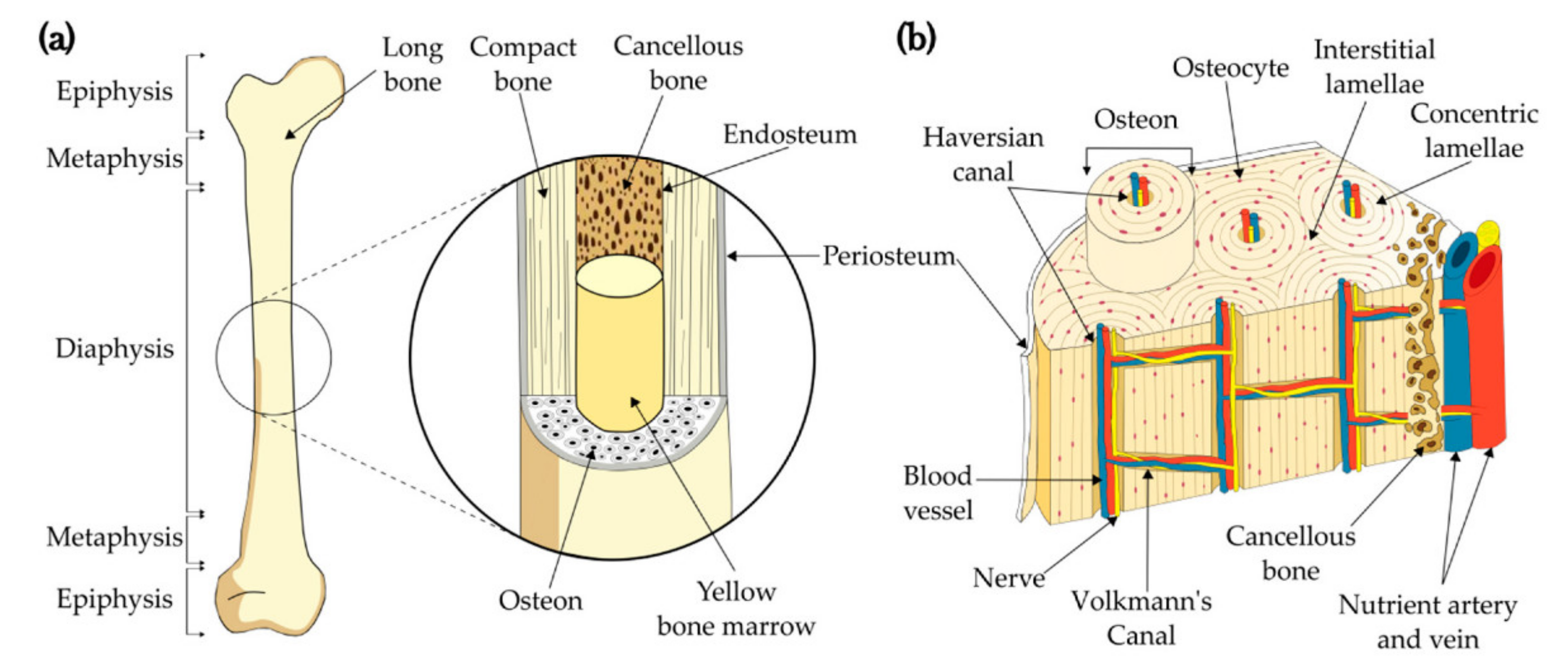 Materials 15 05163 g001