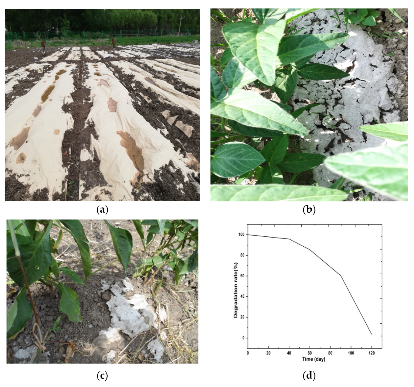 Materials 15 05170 g008