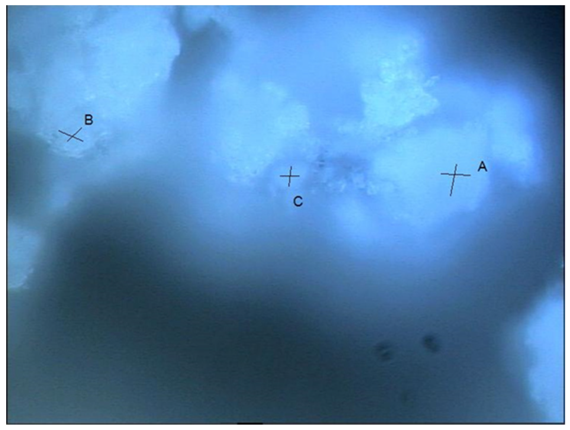 Materials 15 05195 g007