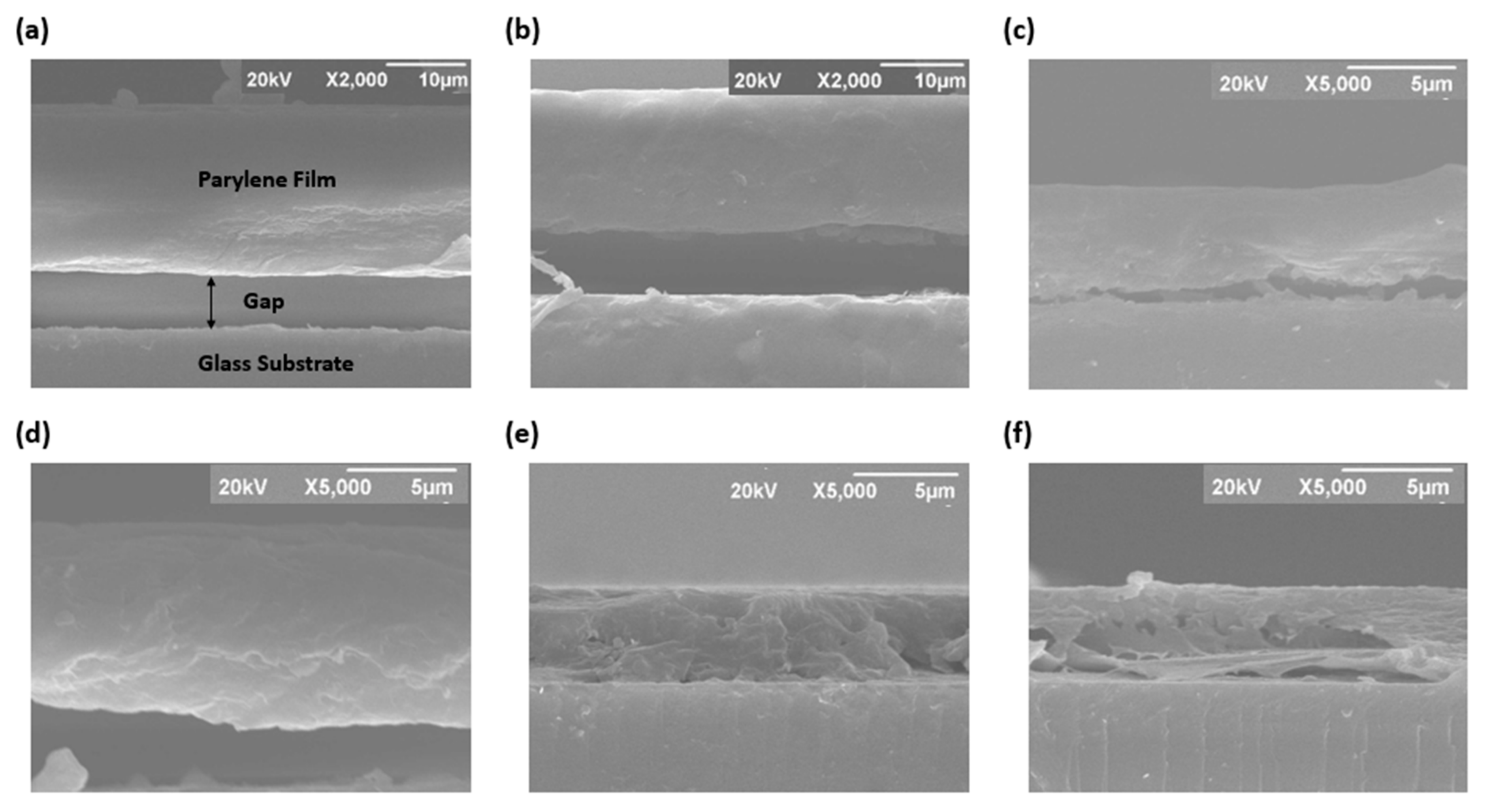 Materials 15 05203 g004 550