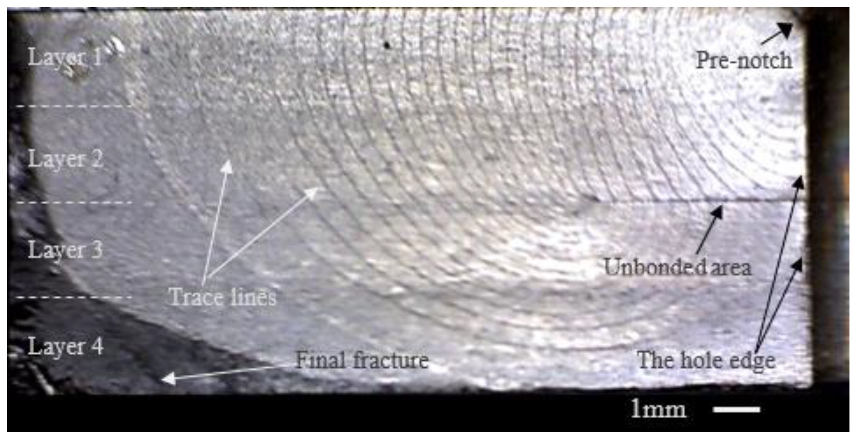 Materials 15 05224 g004