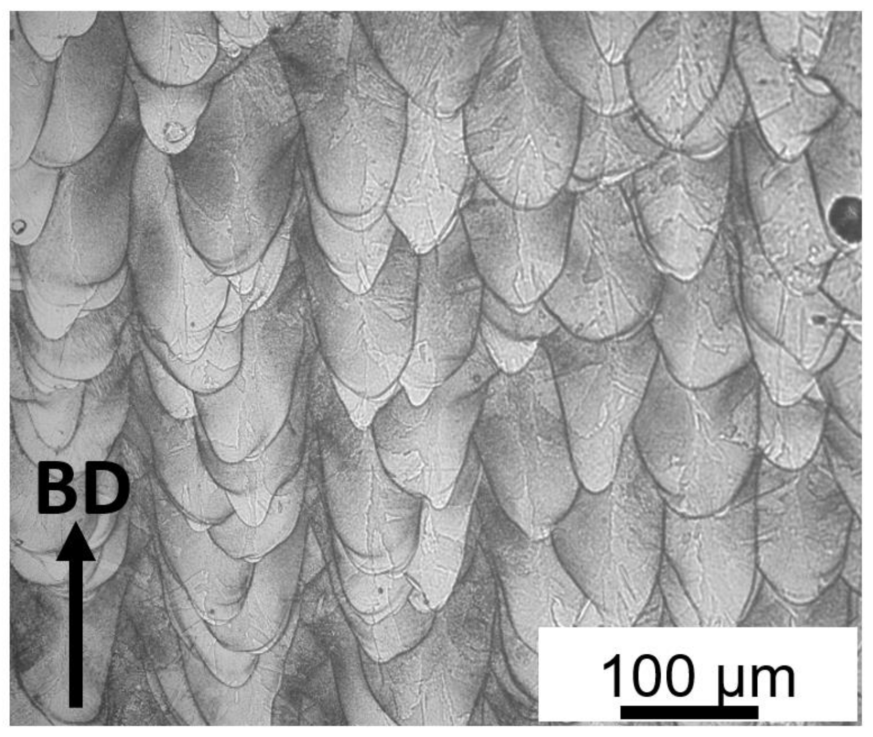 Materials 15 05231 g008