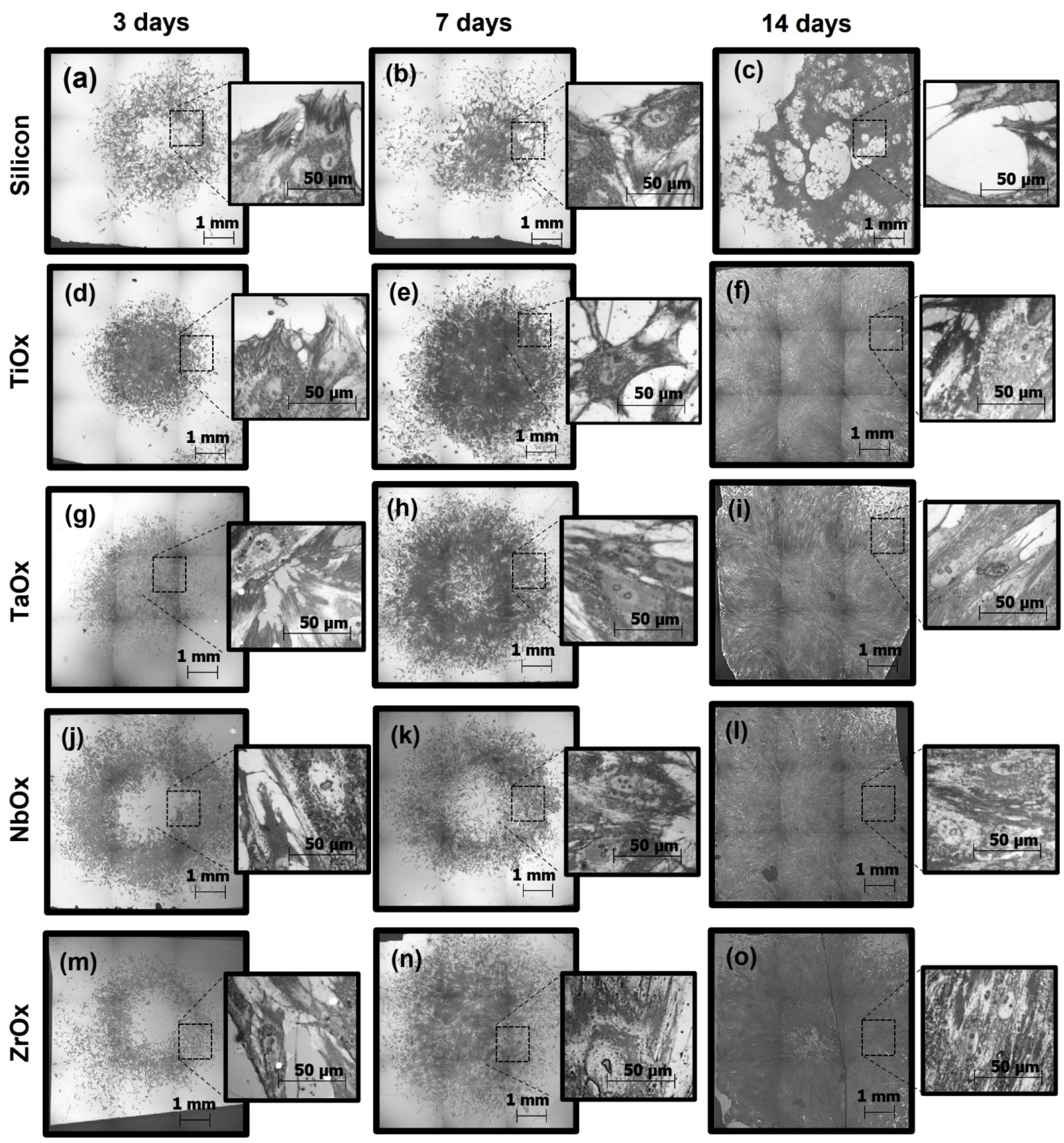 Materials 15 05240 g005