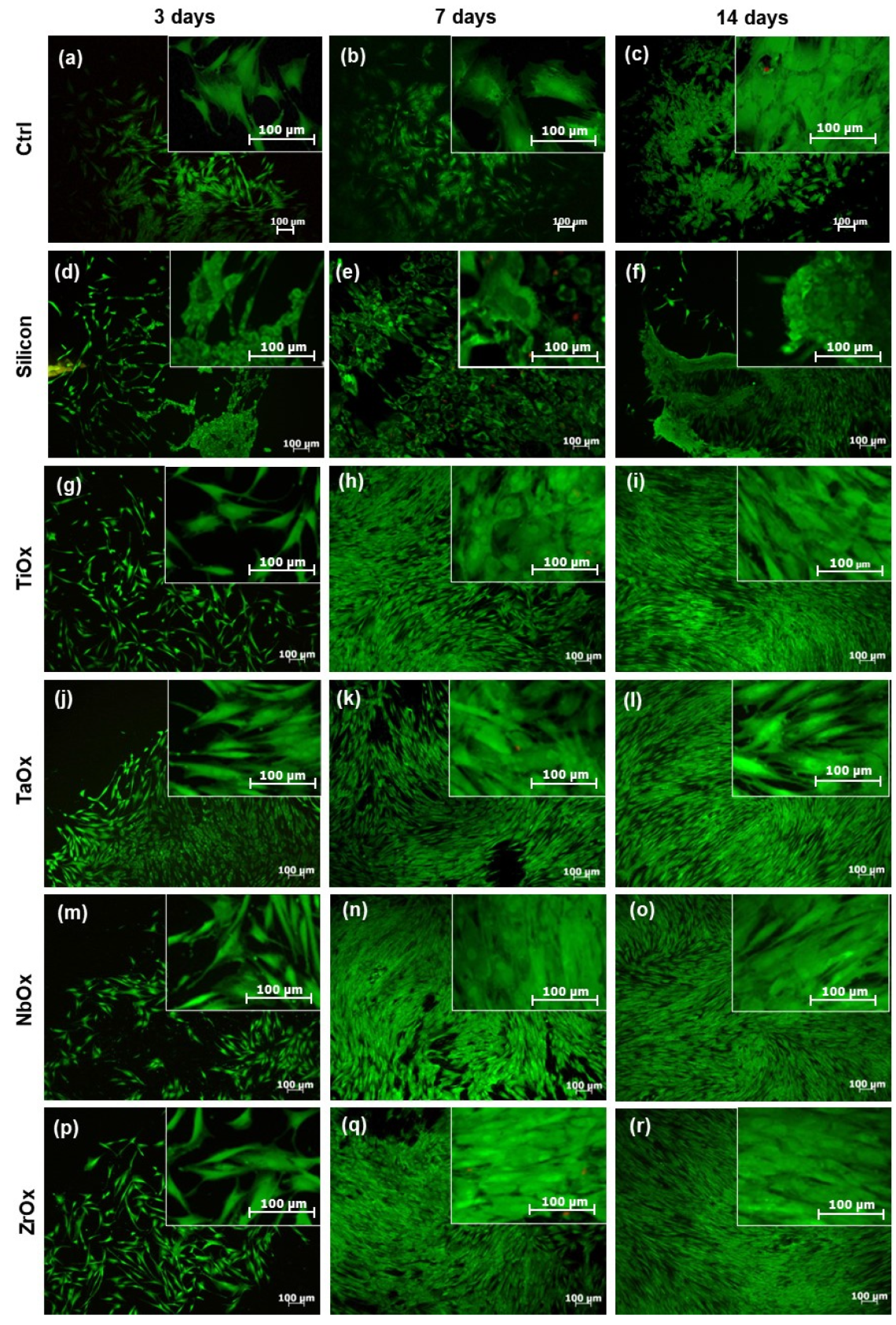 Materials 15 05240 g006