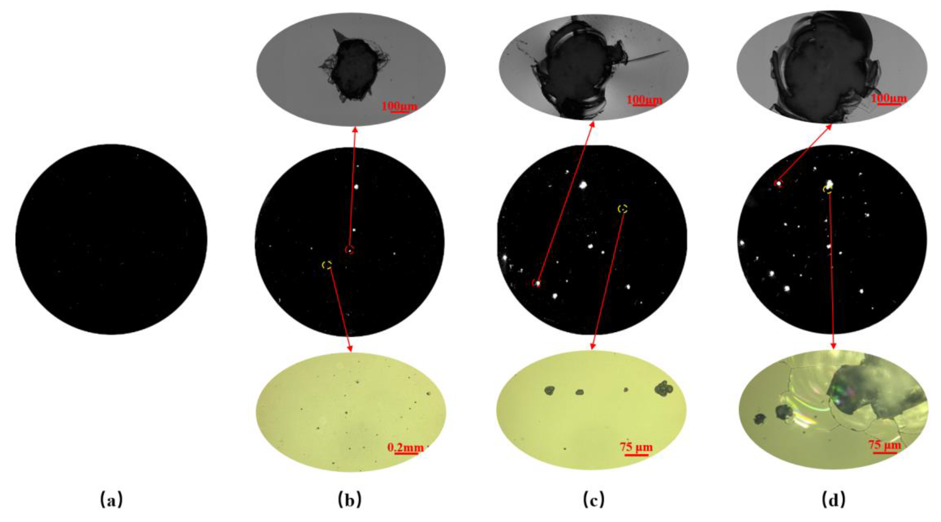 Materials 15 05274 g005