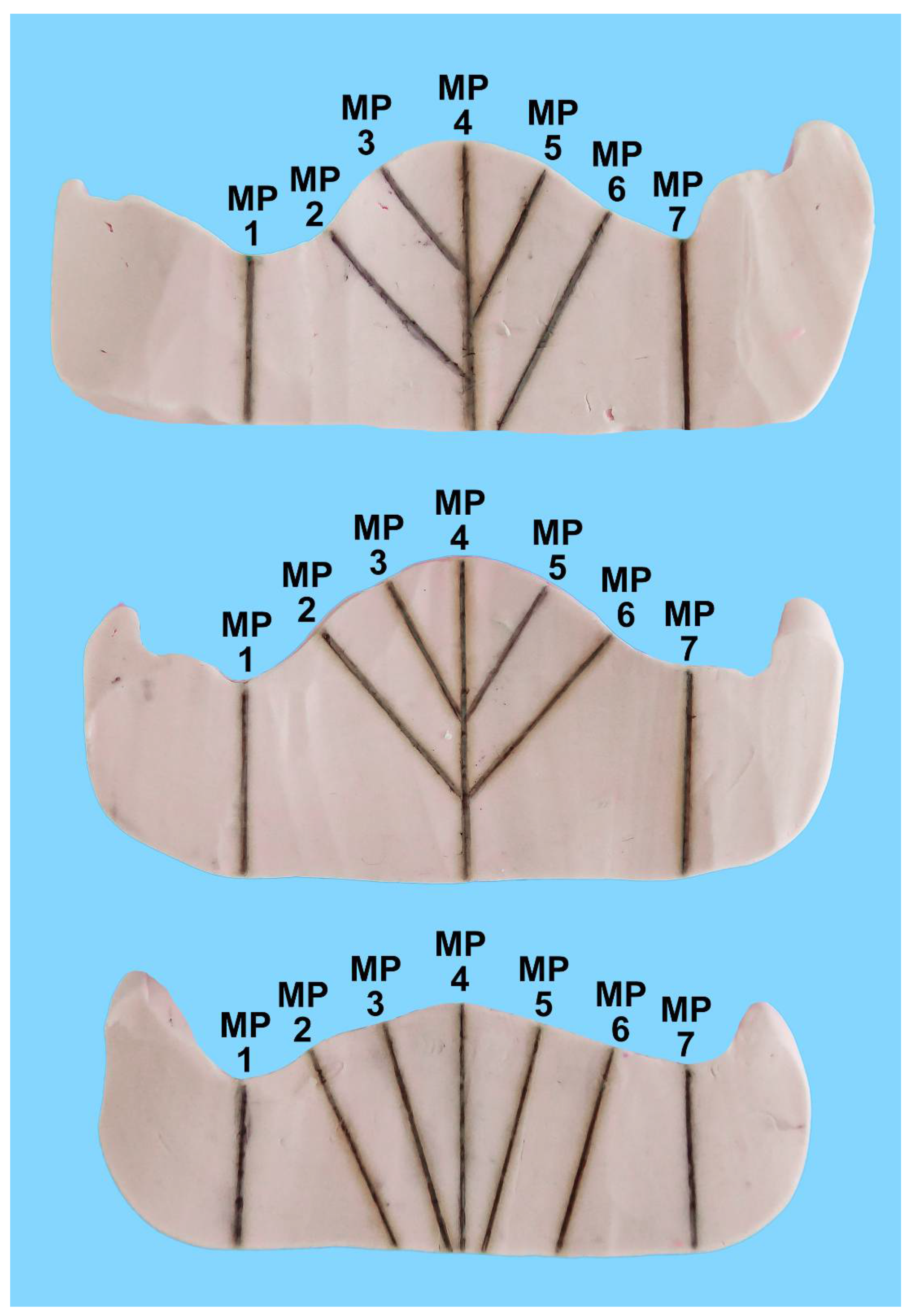 Materials 15 05285 g002