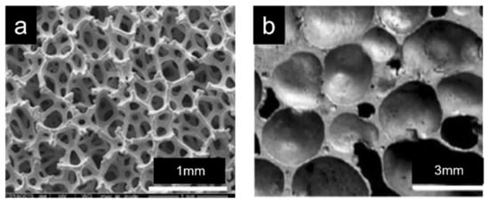 Closed Cell Neoprene Sponge Rubber Foam Sheet 1/16 x 44 x 58 (Black):  : Industrial & Scientific