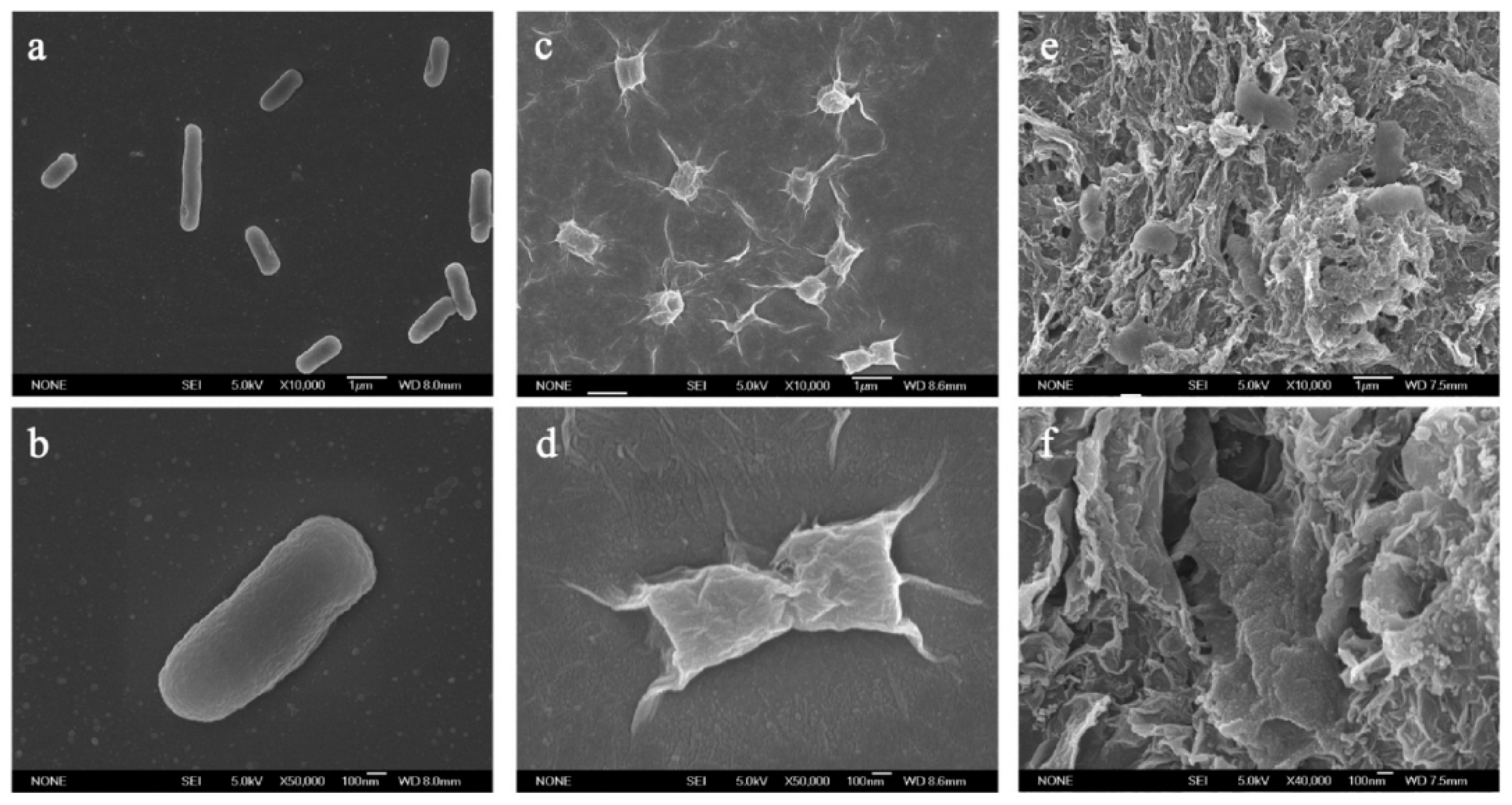 Materials 15 05306 g004