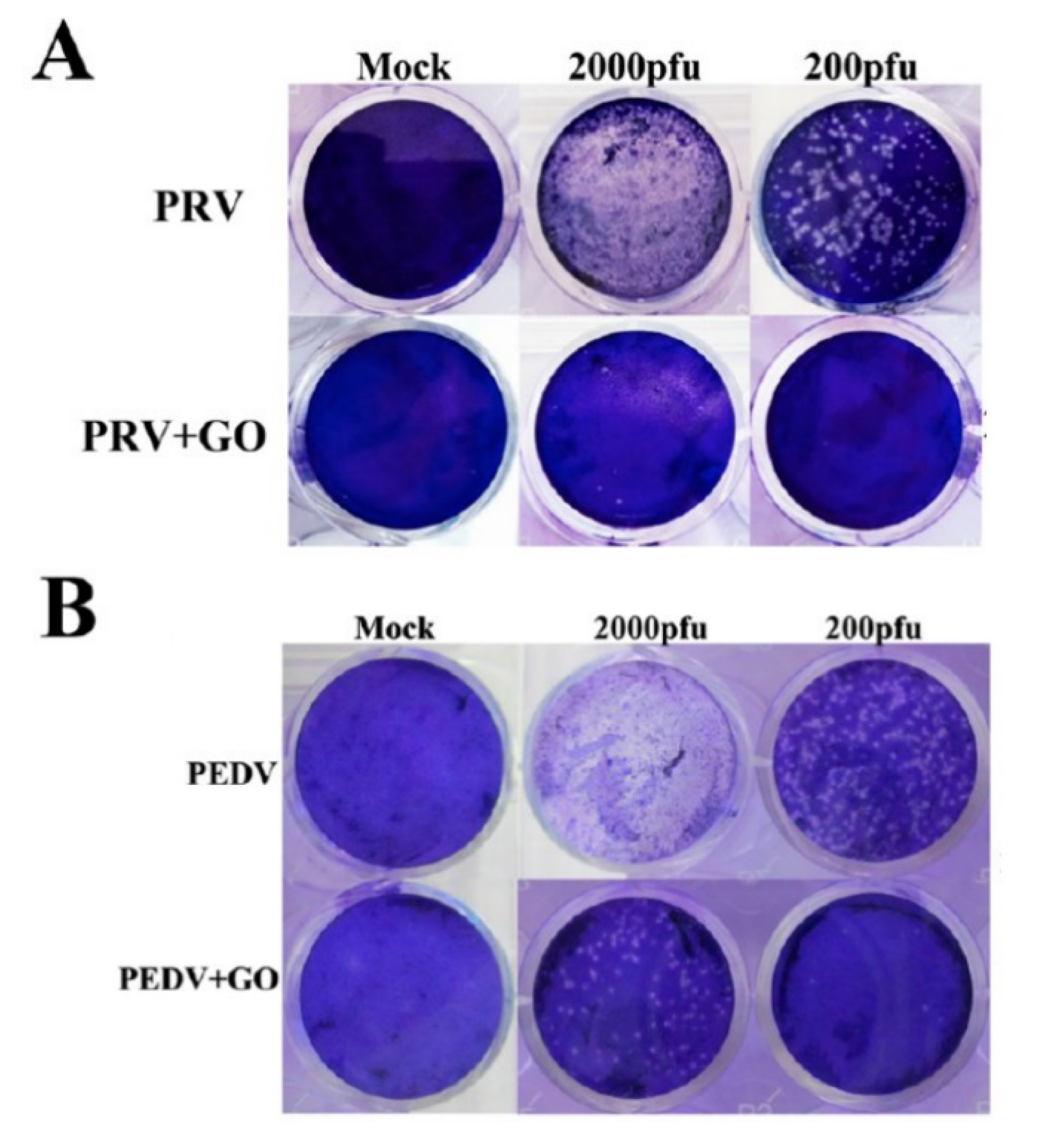 Materials 15 05306 g006